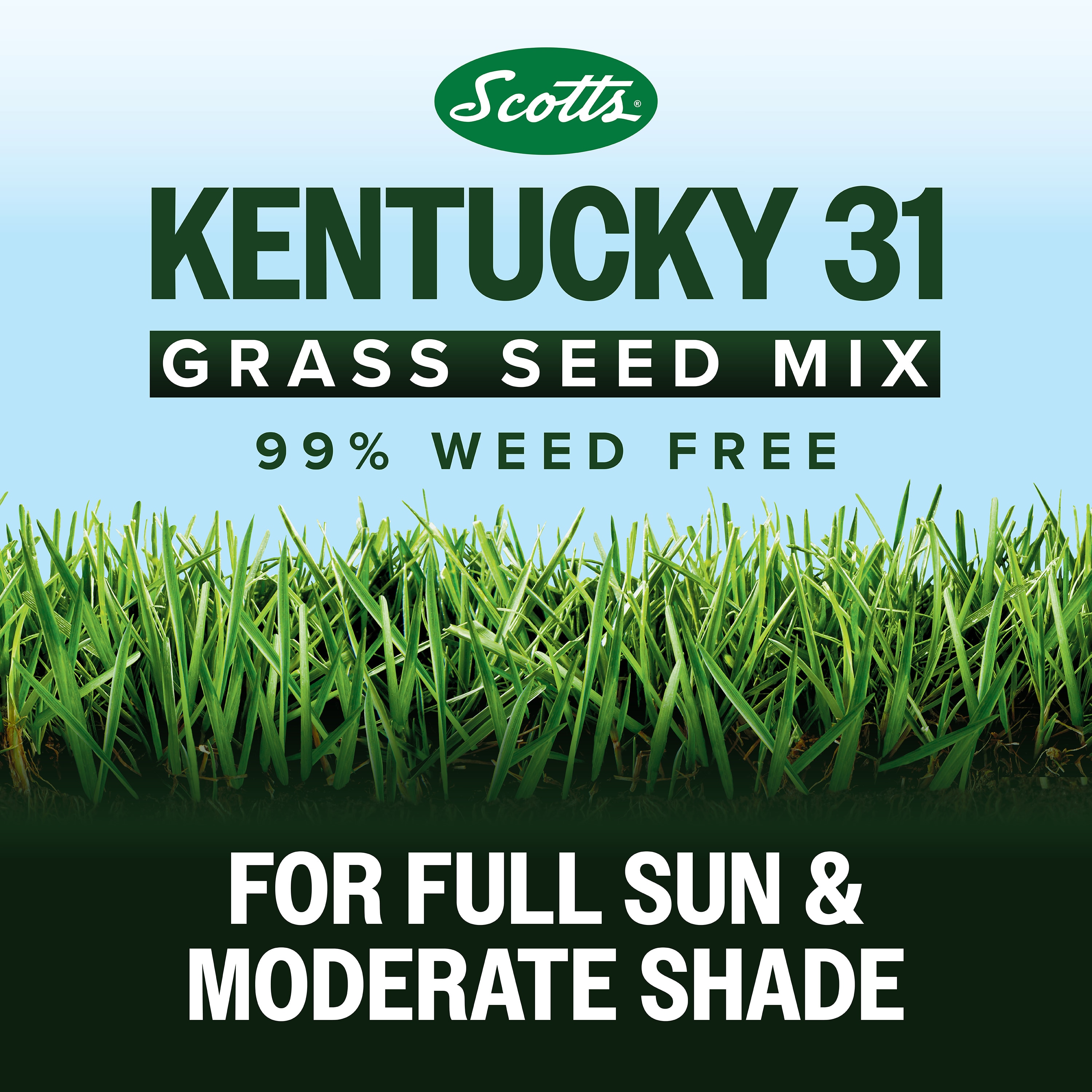 Scotts 18316 Grass-Seed - View #2
