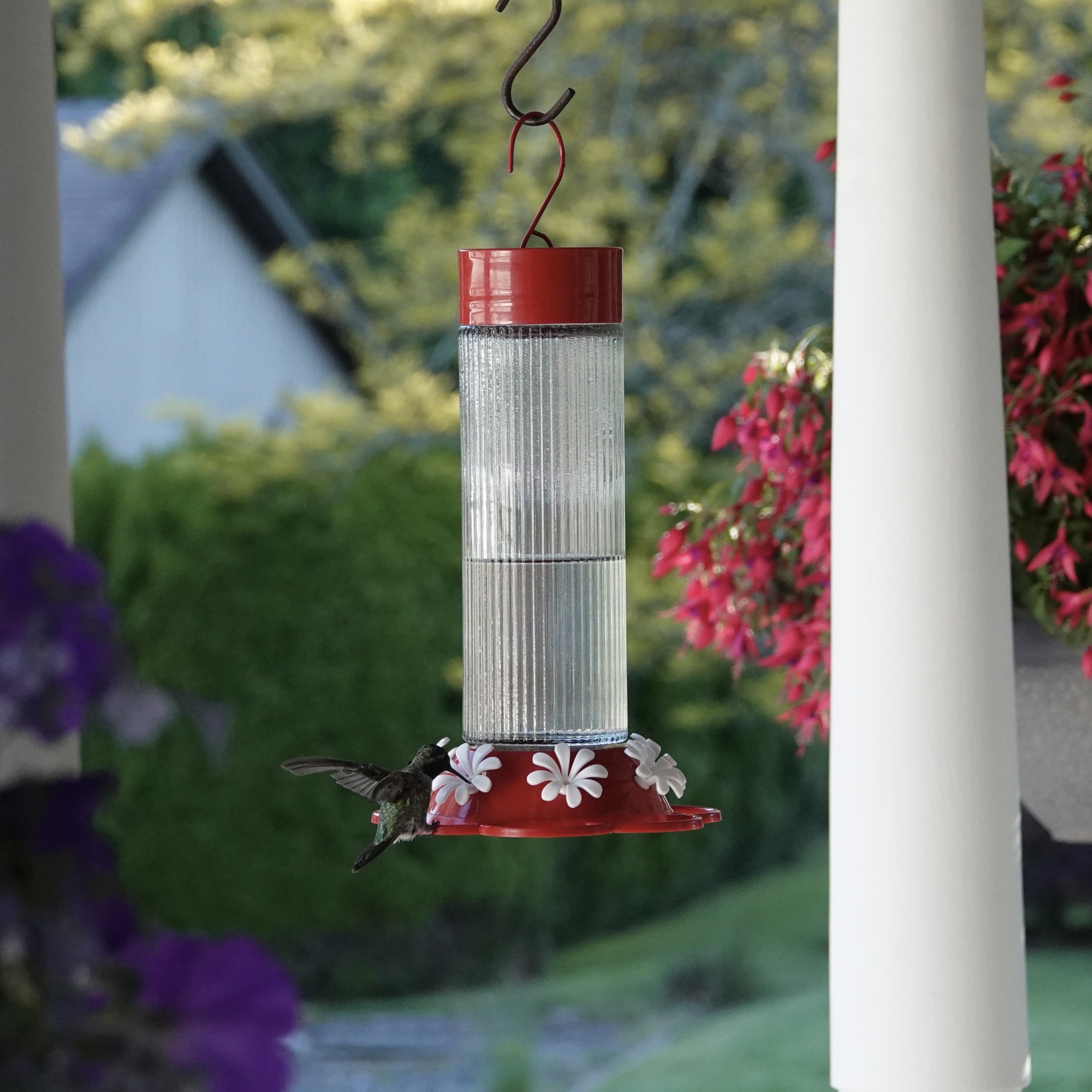 Wild Wings WWTGF5 Bird-Feeders - View #9