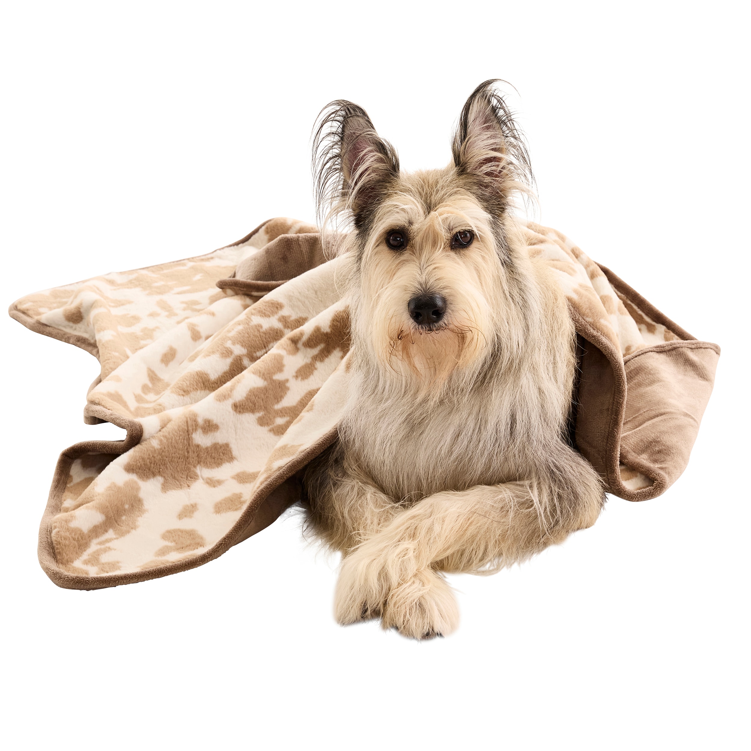 Style Selections FBKT252-LGBRN01 Outdoor-Kennel-Accessories - View #5