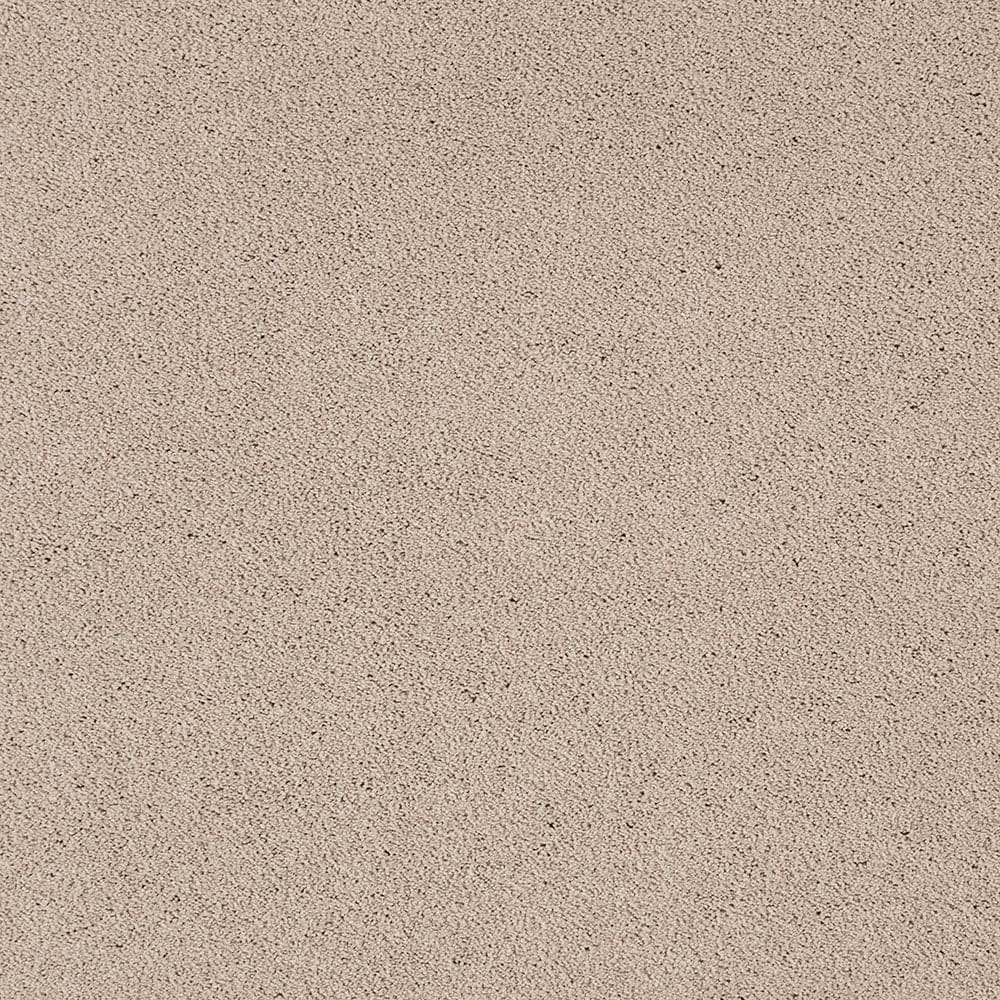 STAINMASTER PetProtect STP54-L019-0808 (Sample) Beau Dacious Viking Grey Gray 48-oz sq yard Triexta Textured Indoor Carpet