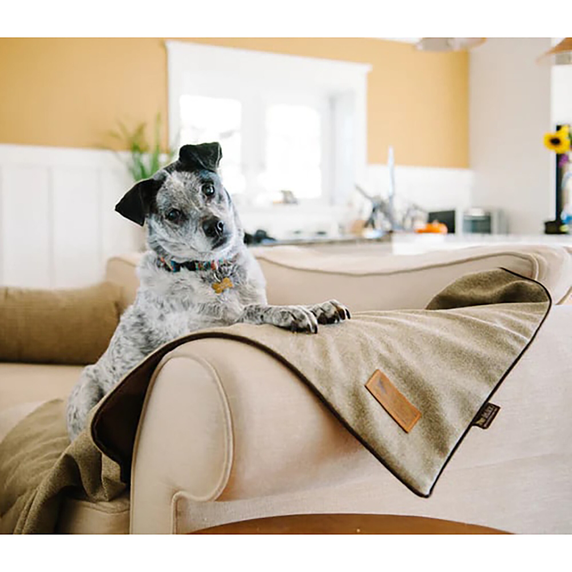P.L.A.Y G0817152015390 Pet-Beds - View #3