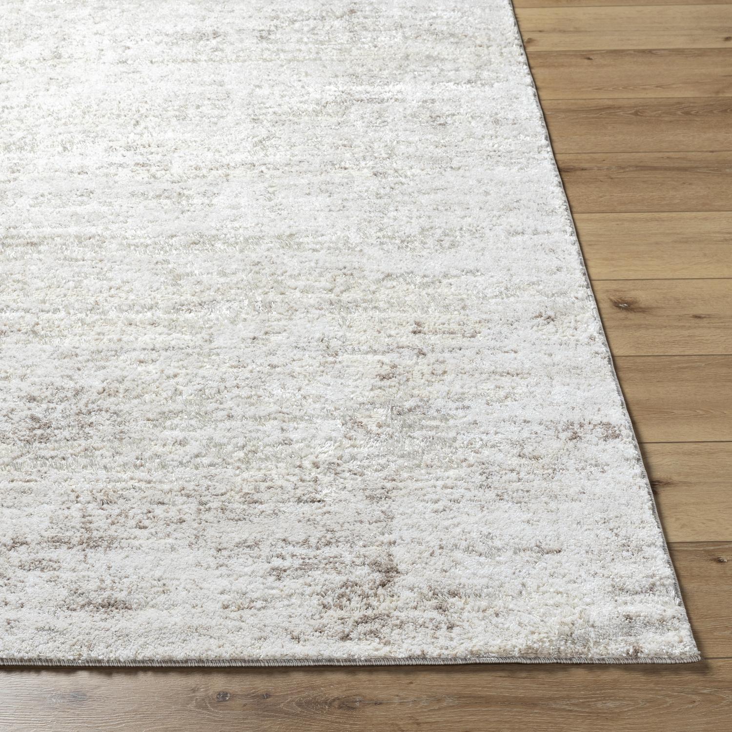Livabliss ARP2305-2211 rugs - View #3