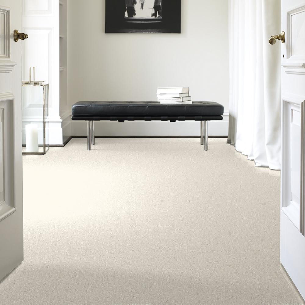 STAINMASTER 7L61100102  - View #2