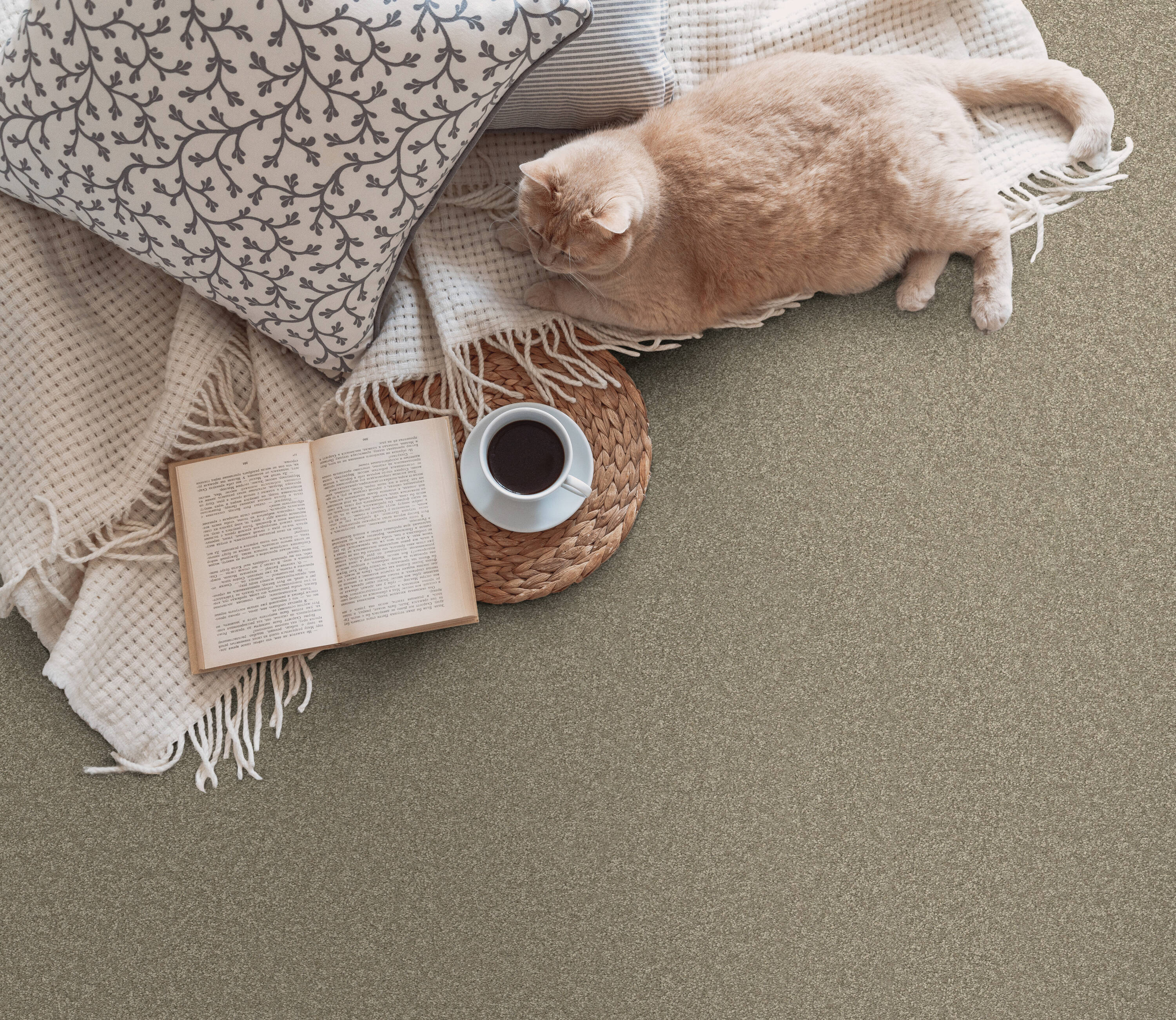 STAINMASTER PetProtect 7L883 - 520 - SAMP Carpet-Samples - View #3