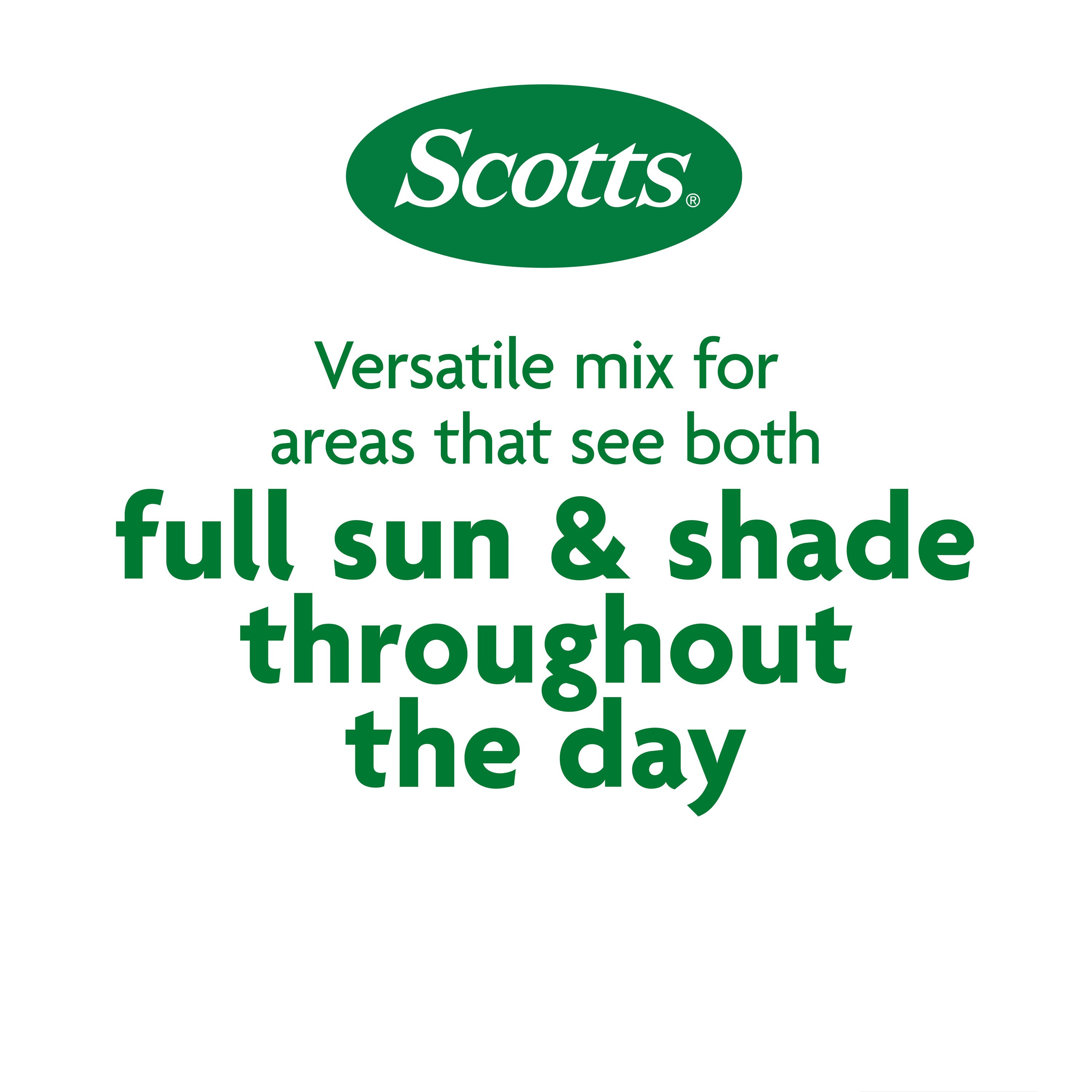 Scotts 18428A Grass-Seed - View #4