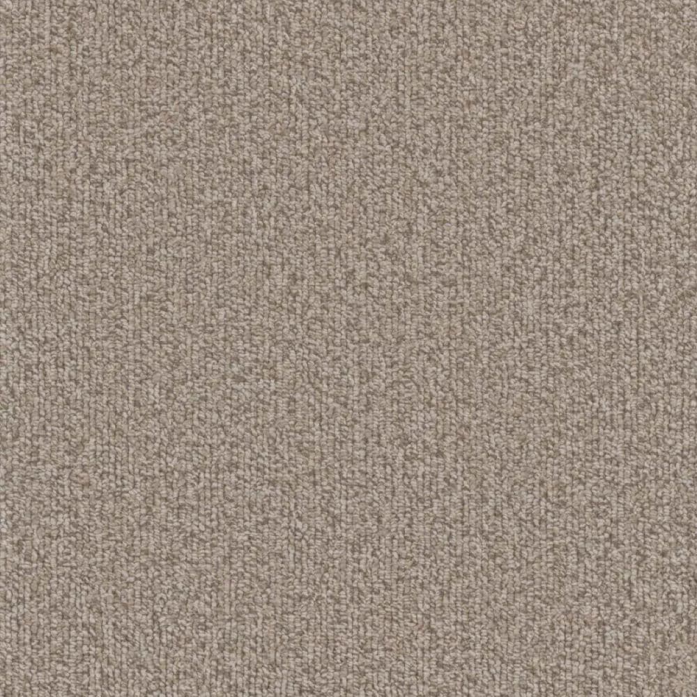 STAINMASTER S9546-30014-S (Sample) Deerfield Brown 46-oz sq yard Polyester Textured Indoor Carpet