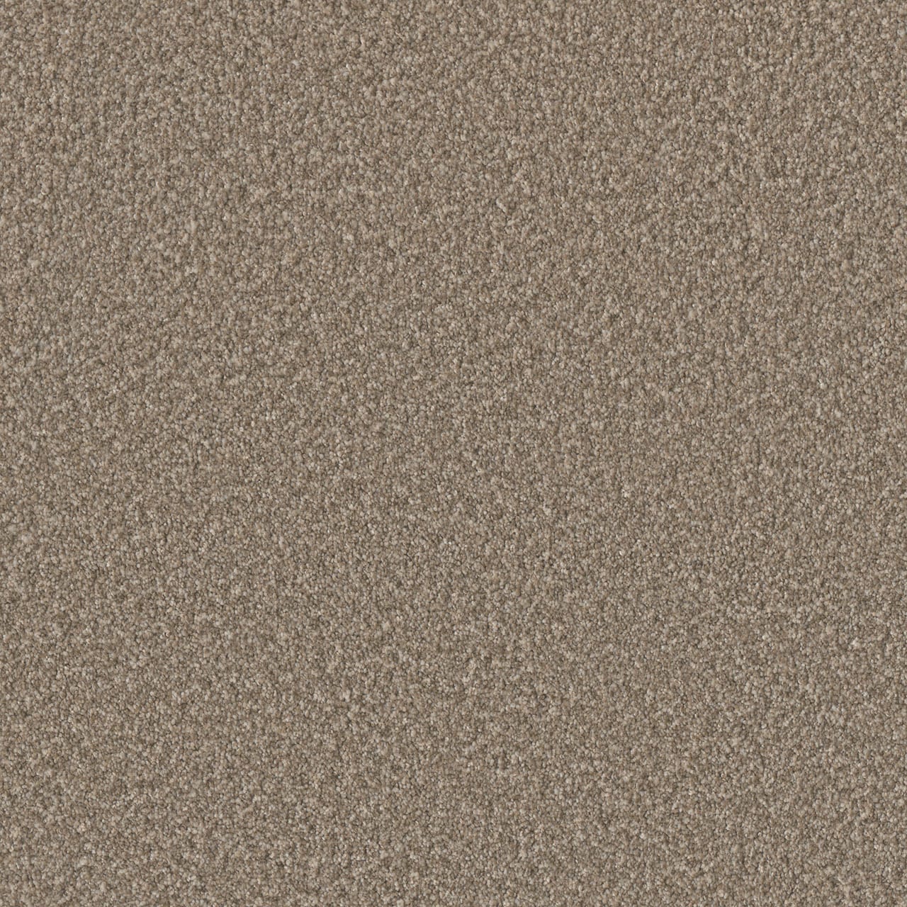 STAINMASTER PetProtect L3015-1303-1200-AB Wagging Rights III Finn Tan 65-oz sq yard Solution-dyed polyester Textured Indoor Carpet
