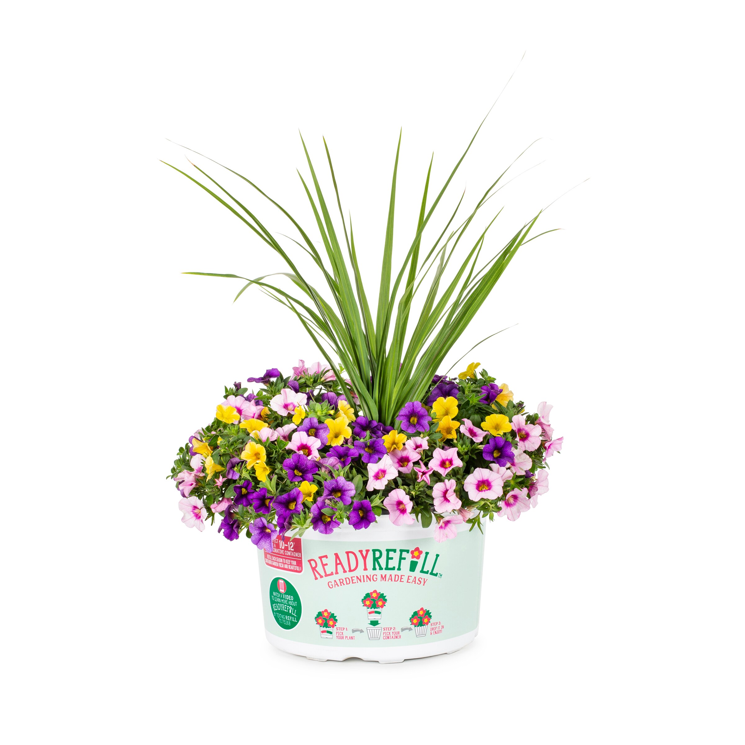 Metrolina Greenhouses 79595 Multicolor Million Bells in 1.5-Gallon Plantable Container