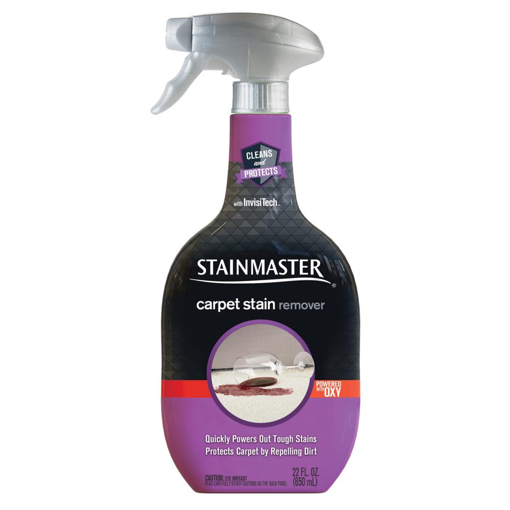 The 18 Best Carpet Cleaner Solutions for Stain Removal in 2023 – SPY