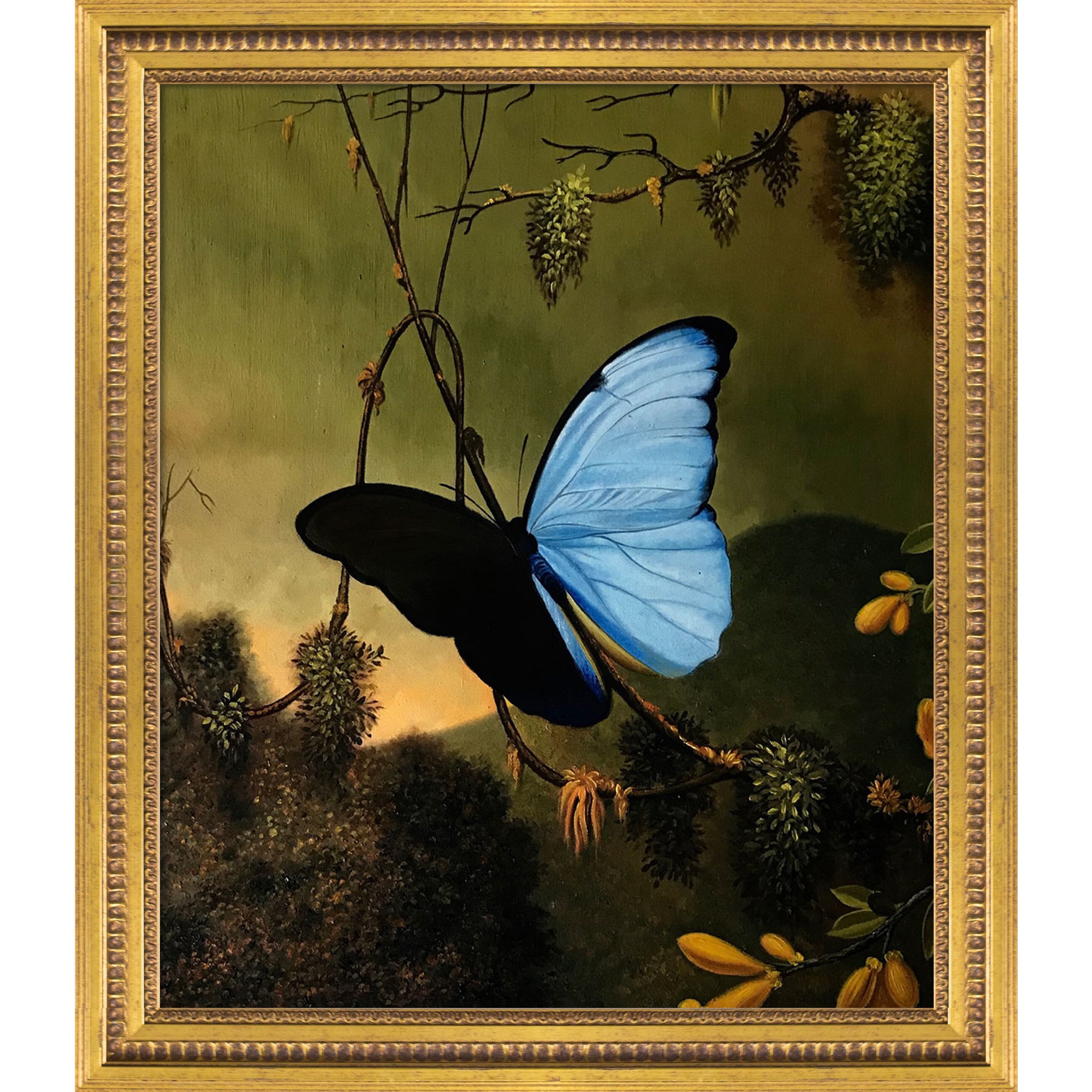 blue morpho butterfly martin johnson heade