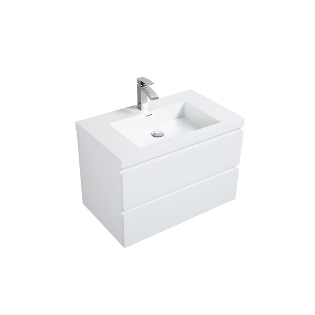 WELLFOR Bathroom vanity 24-in Glossy White Undermount Single Sink ...