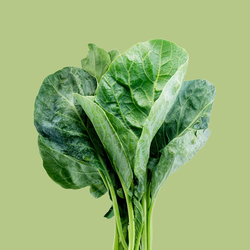 Lettuce Grow SO-SV-6-77666361 Vegetable-Plants - View #6