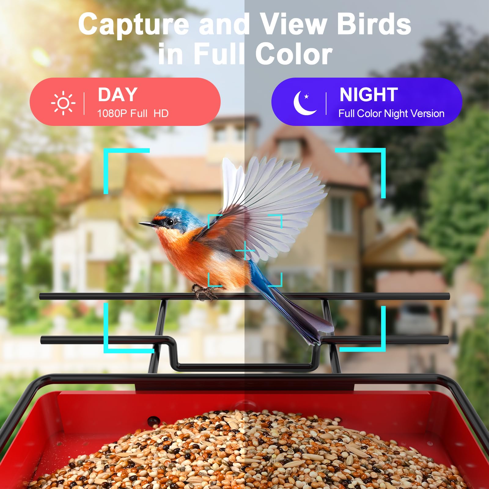 Berdz APS100 Bird-Feeders - View #6