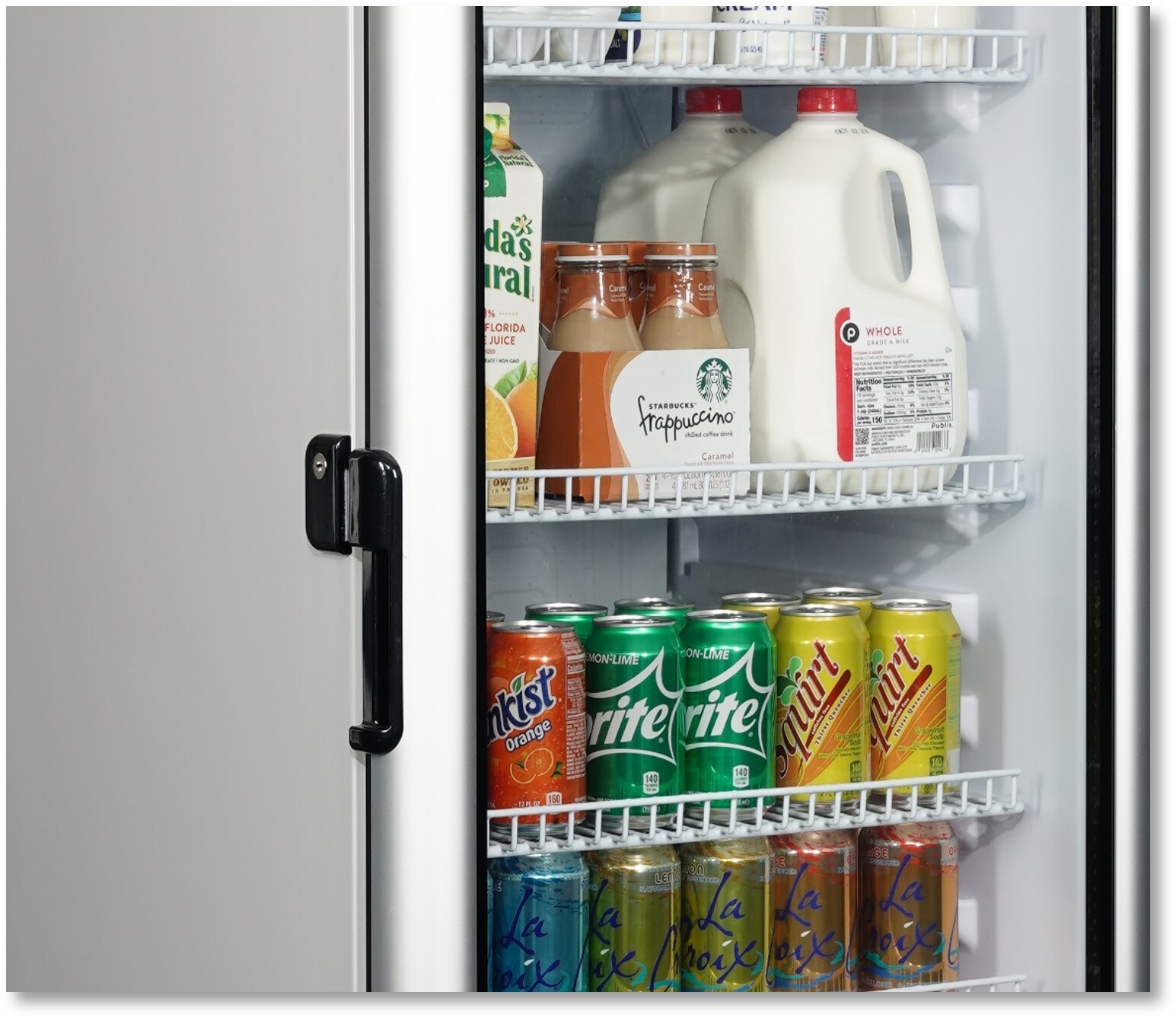 Premium Levella 9-cu ft 1-Door Merchandiser Commercial Refrigerator ...