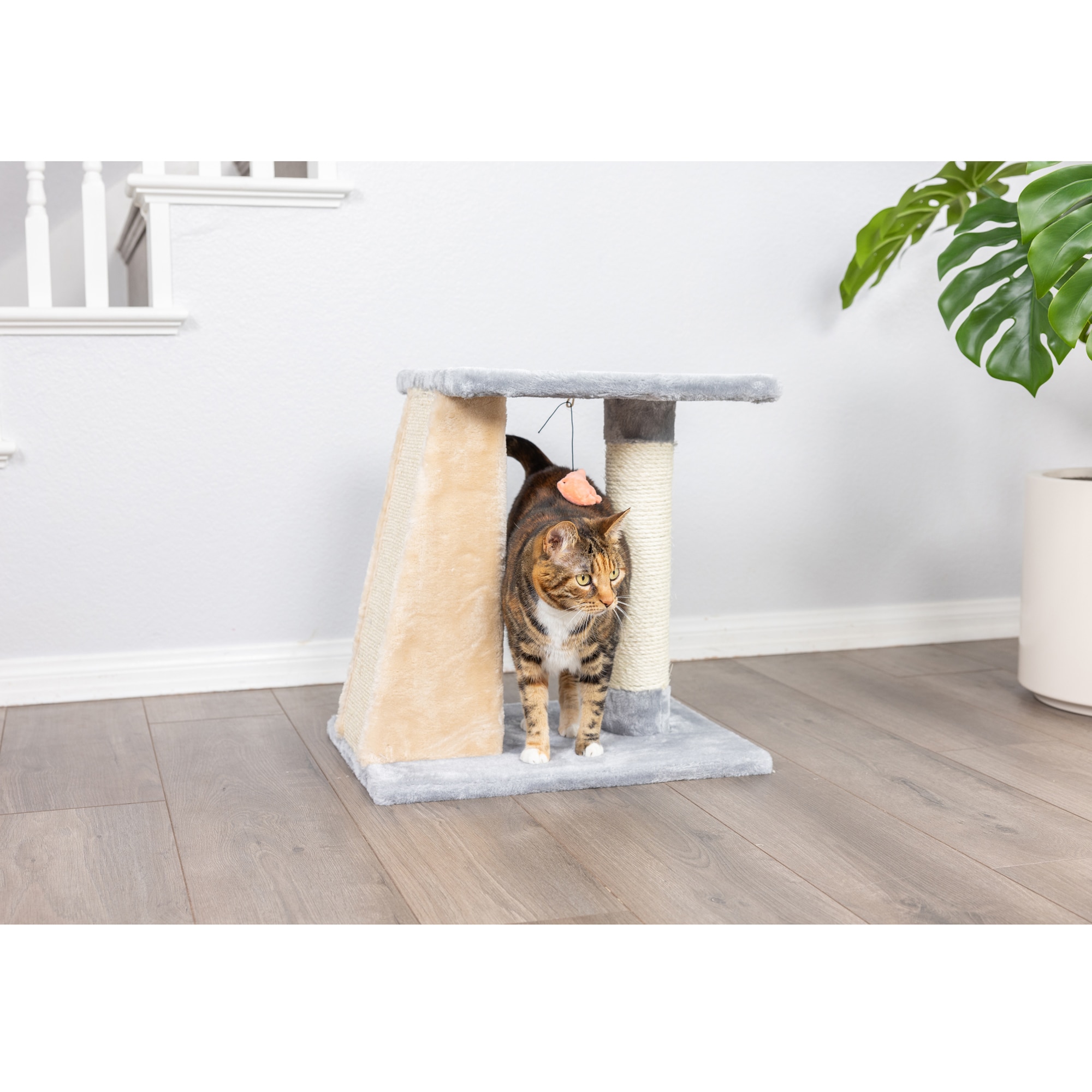Gray and Beige Sisal Carpet Two-Level Cat Scratcher
