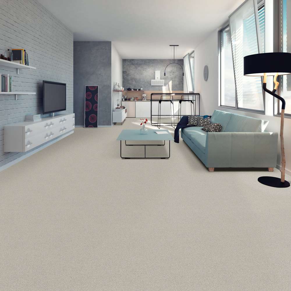 STAINMASTER 7L792-320-SAMP Carpet-Samples - View #3