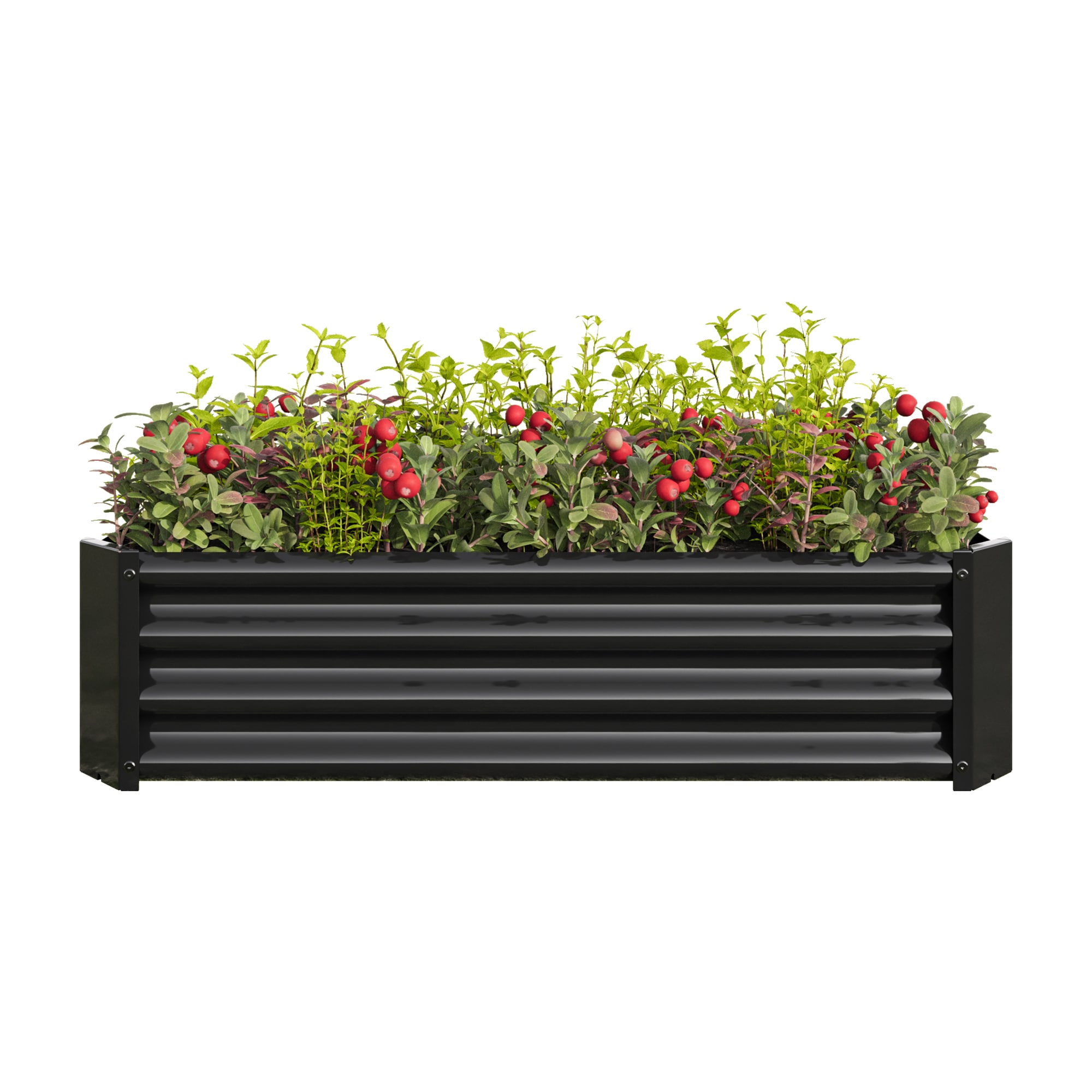 Flynama YC-V-66434 24-in W x 48-in L x 12-in H Black Metal Raised Garden Bed