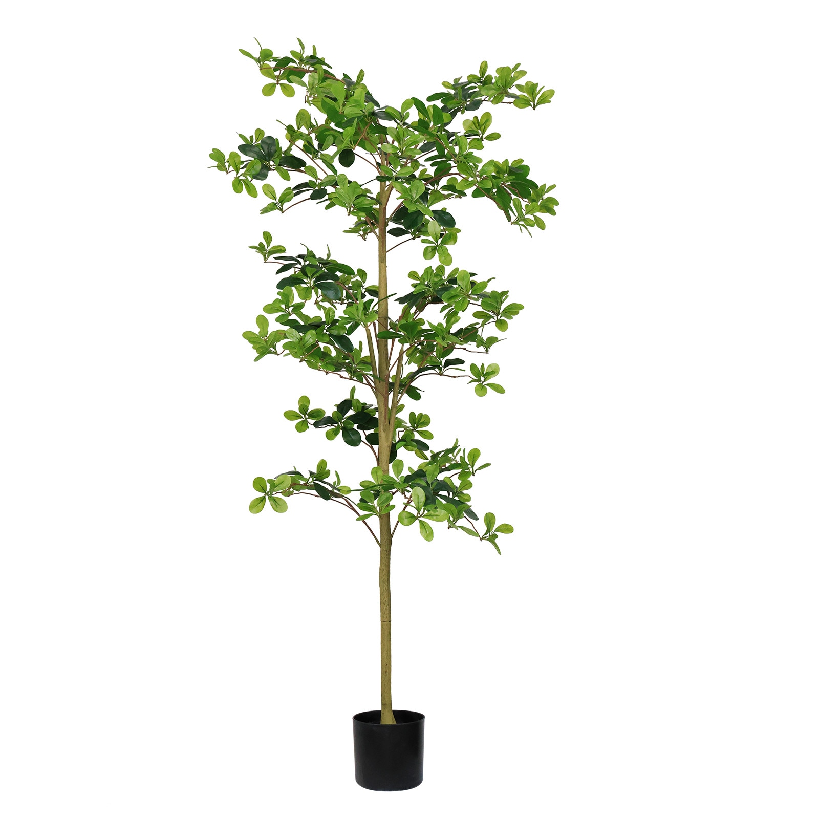 GDFStudio 6FT Tall Artificial Tree Fake Polyscias Fruticosa Plant for Indoor Decor Potted Faux Silk Greenery for Living Room Office Home Decoration