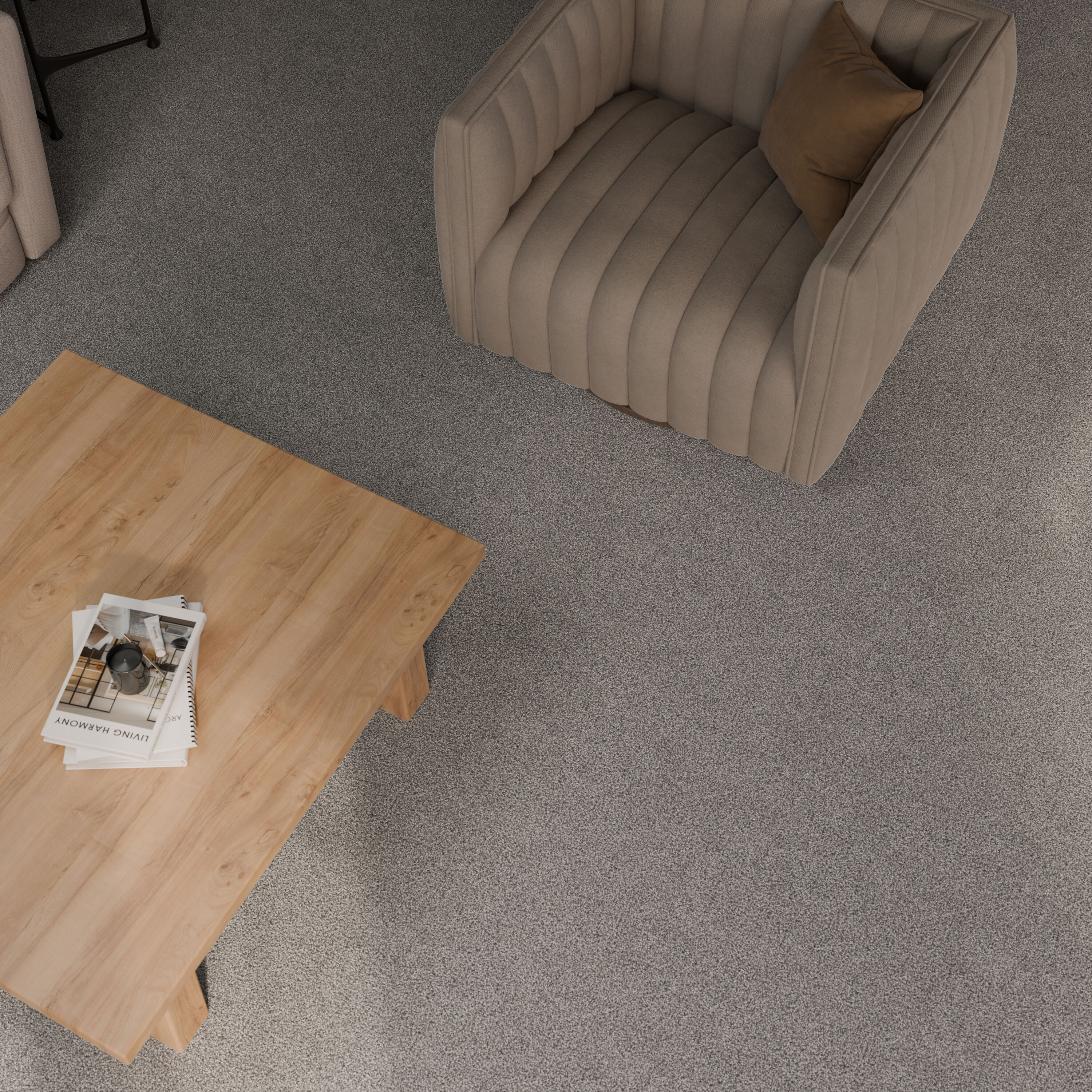 STAINMASTER PetProtect 7L965-519-SAMP Carpet-Samples - View #5