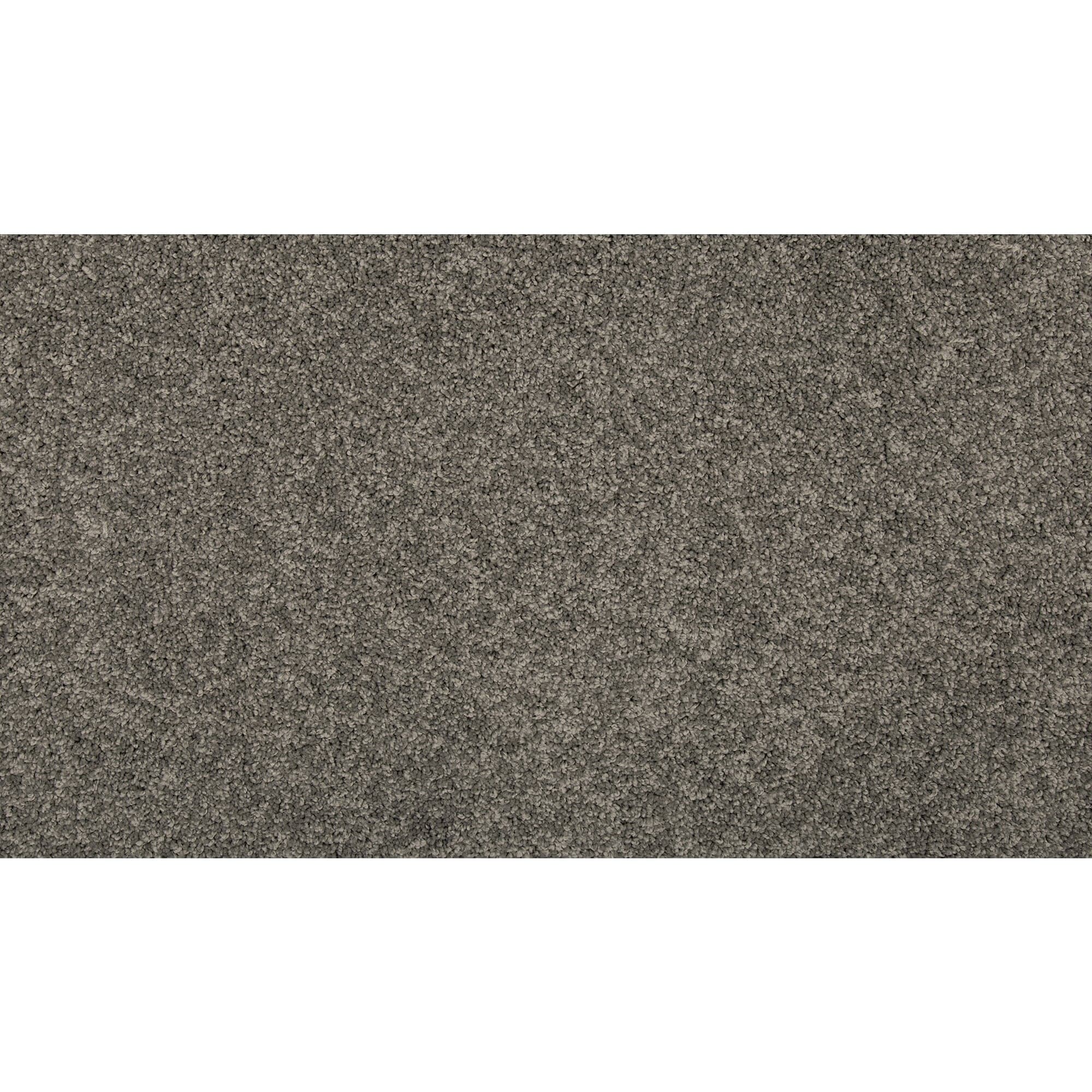 STAINMASTER SS013-L012-0808 (Sample) Memorable Touch II Ashen Grey Gray 50-oz sq yard Solution-dyed polyester Textured Indoor Carpet