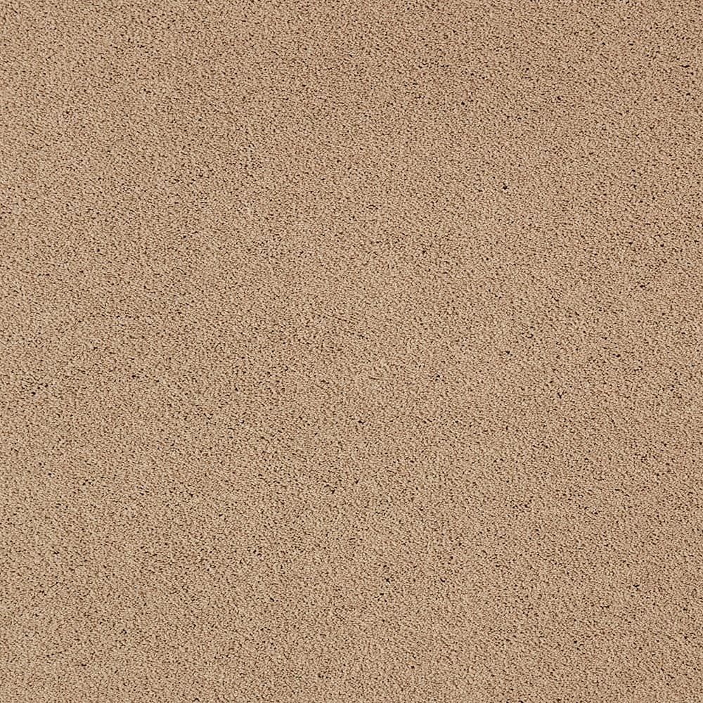 STAINMASTER PetProtect STP54-L024-0808 (Sample) Beau Dacious Siesta Sands Brown 48-oz sq yard Triexta Textured Indoor Carpet