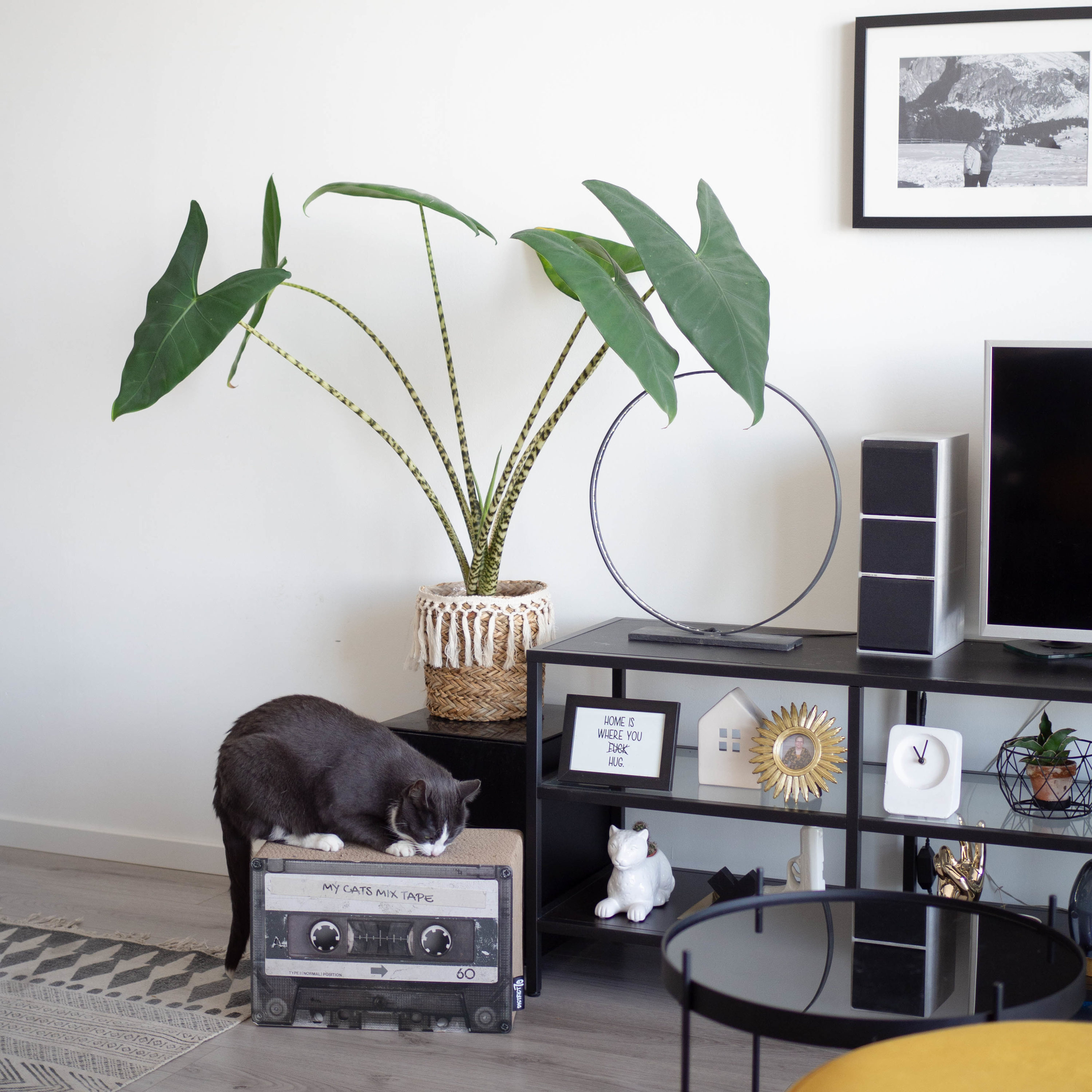 District70 5112 Cat-Trees - View #6