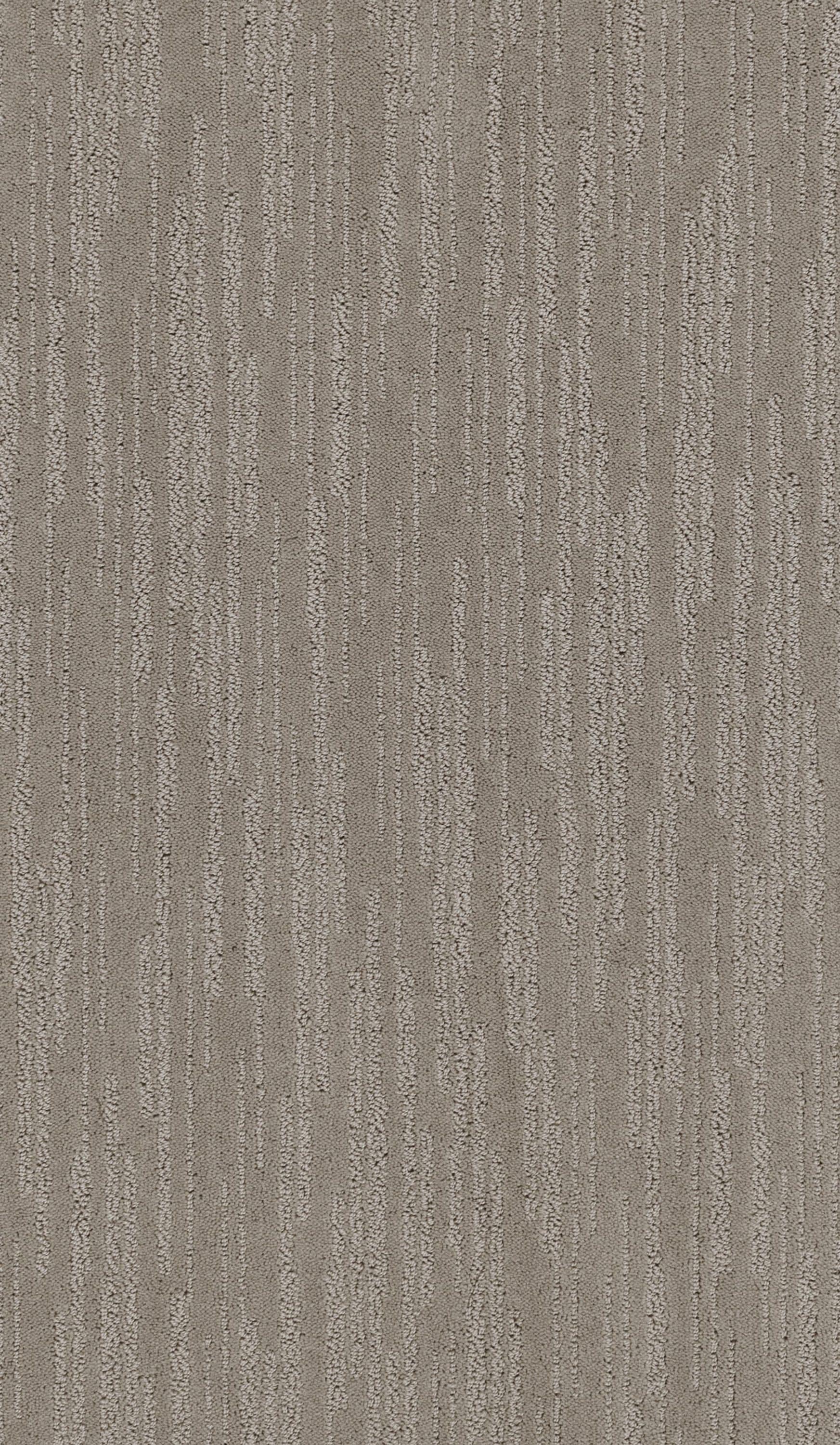 STAINMASTER PetProtect 7L853 - 714 - SAMP (Sample) Weekend Retreat Caravelle Brown 39-oz sq yard Nylon Pattern Indoor Carpet