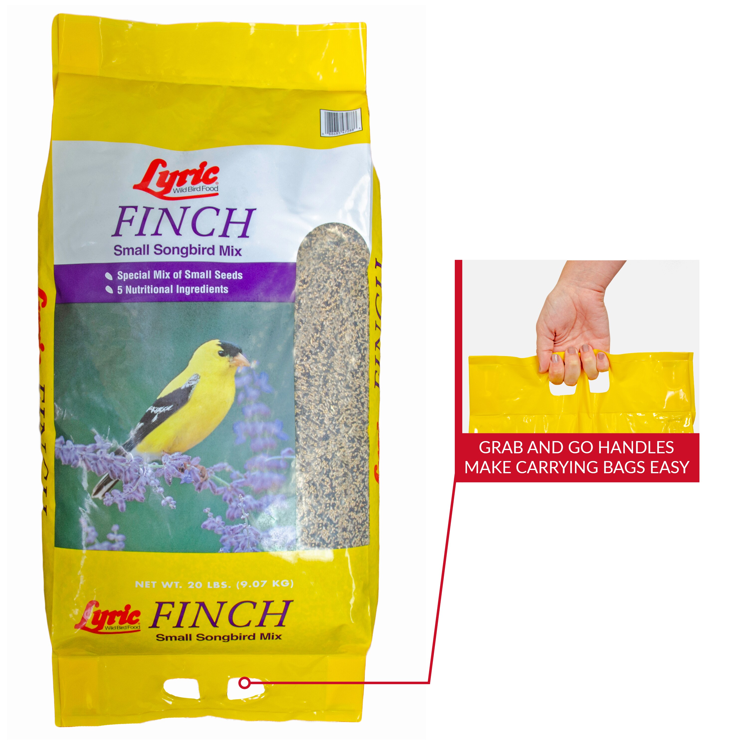 cheap finch food