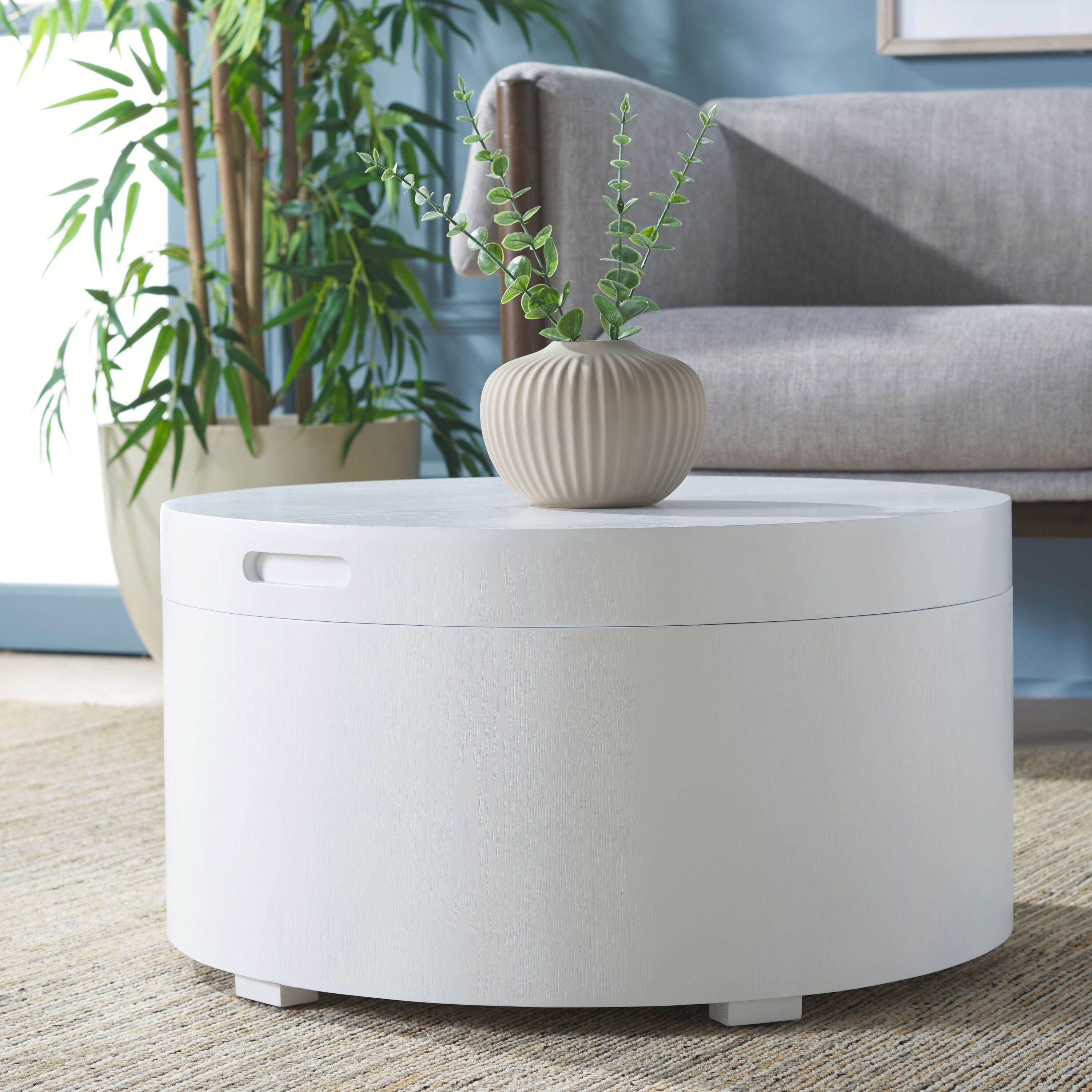 Safavieh COF9704B Rafaela Nc Coating MDF Modern Coffee Table with Storage
