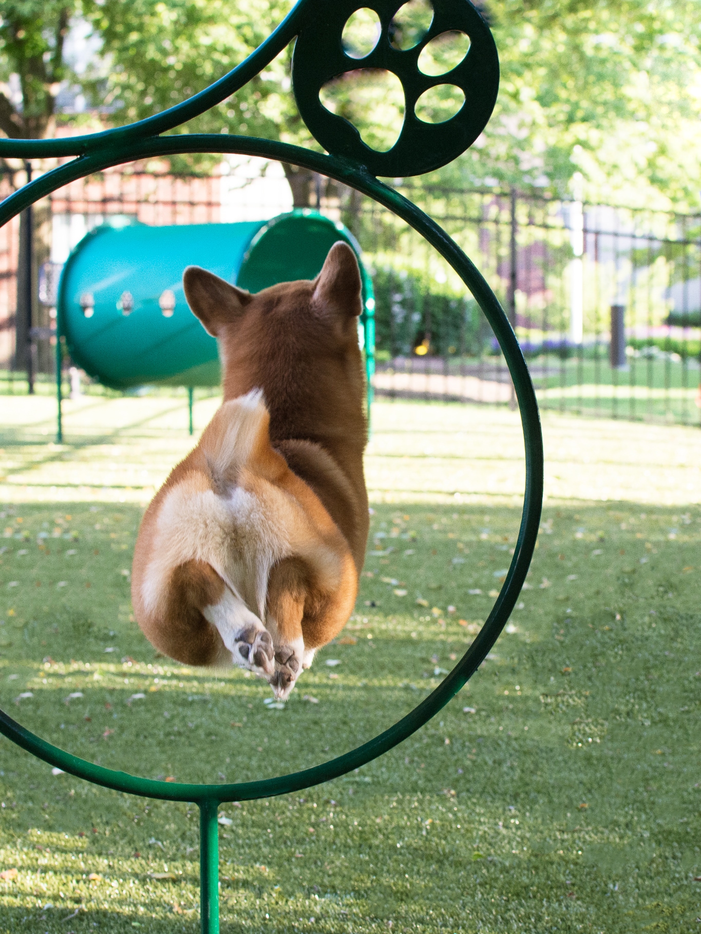 UltraPlay TBARK-430 - NATURAL Dog-Park-Agility-Course-Components - View #4