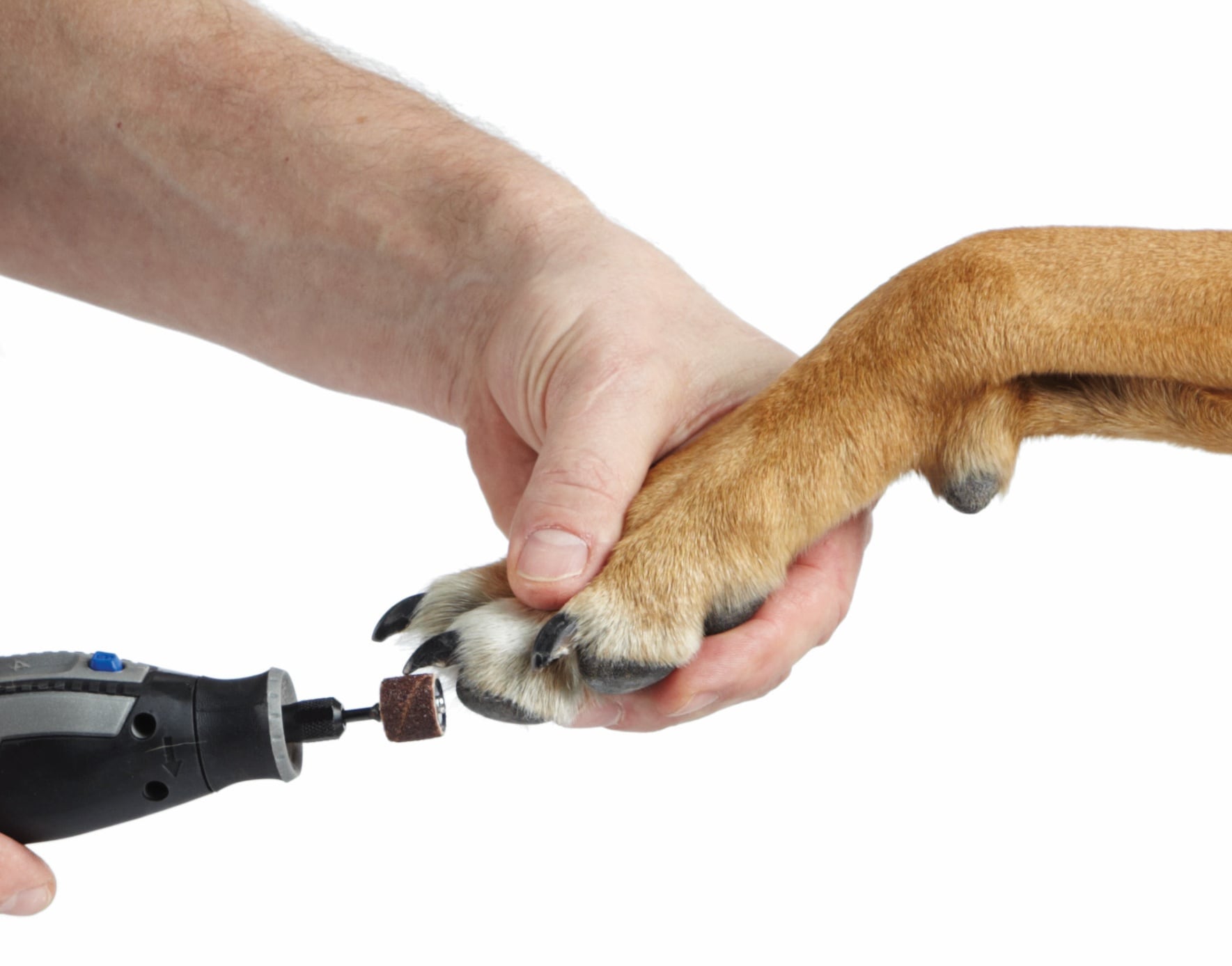 Dremel 7760-PGK PawControl Dog Nail Grinder for sale online