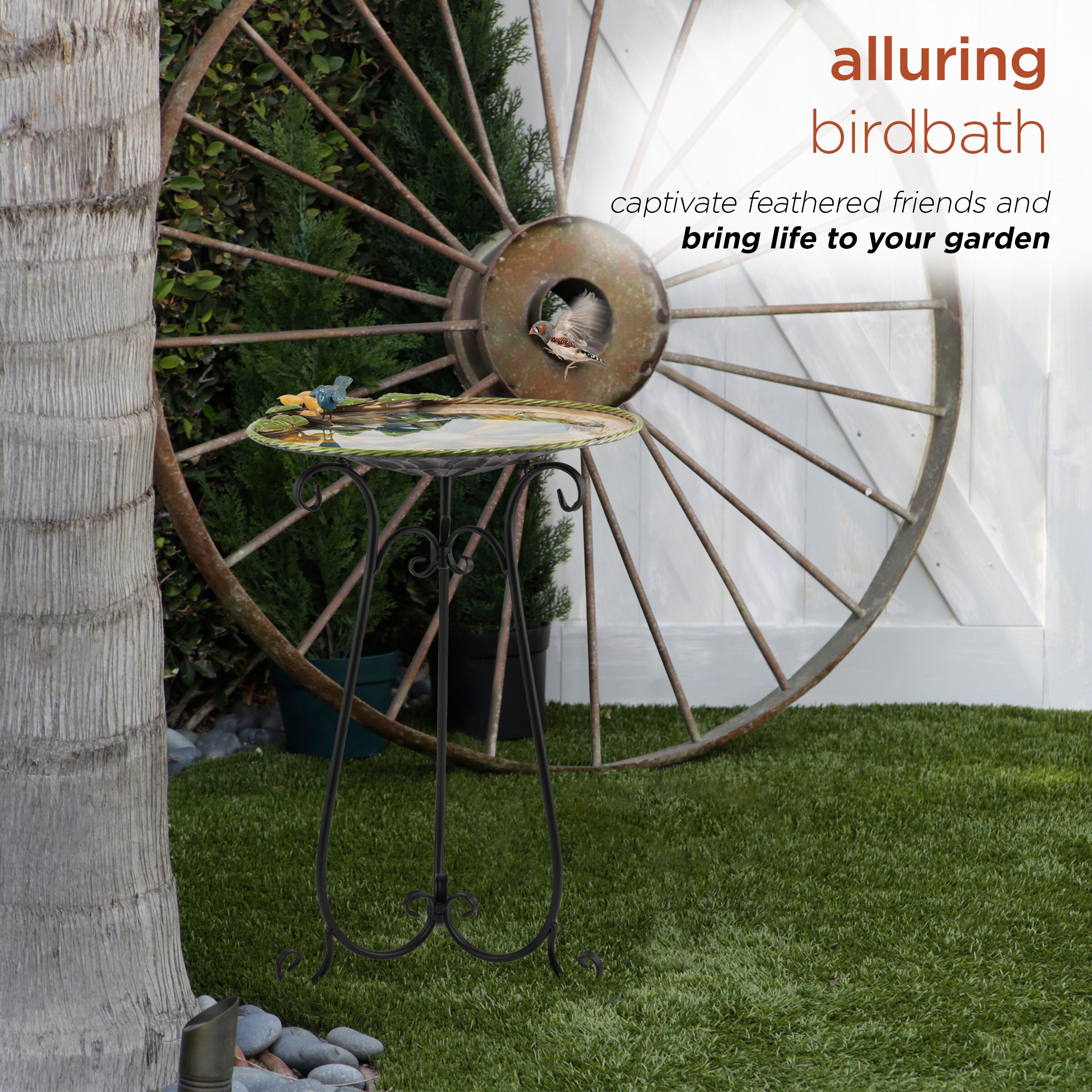Alpine Corporation ORS594 birdbaths - View #5