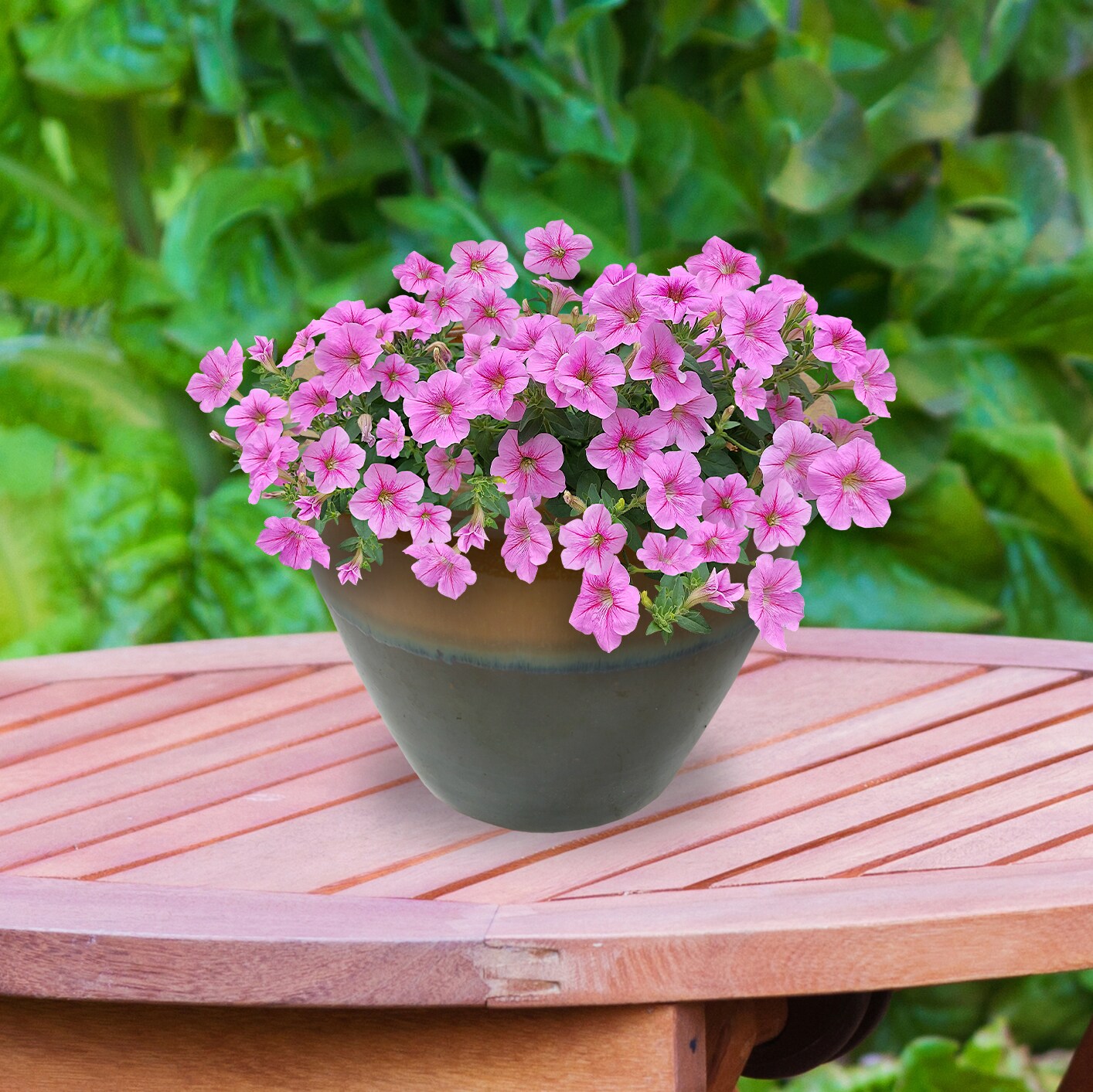 Sunnydaze Decor AP-810 Planter-Window-Box - View #8