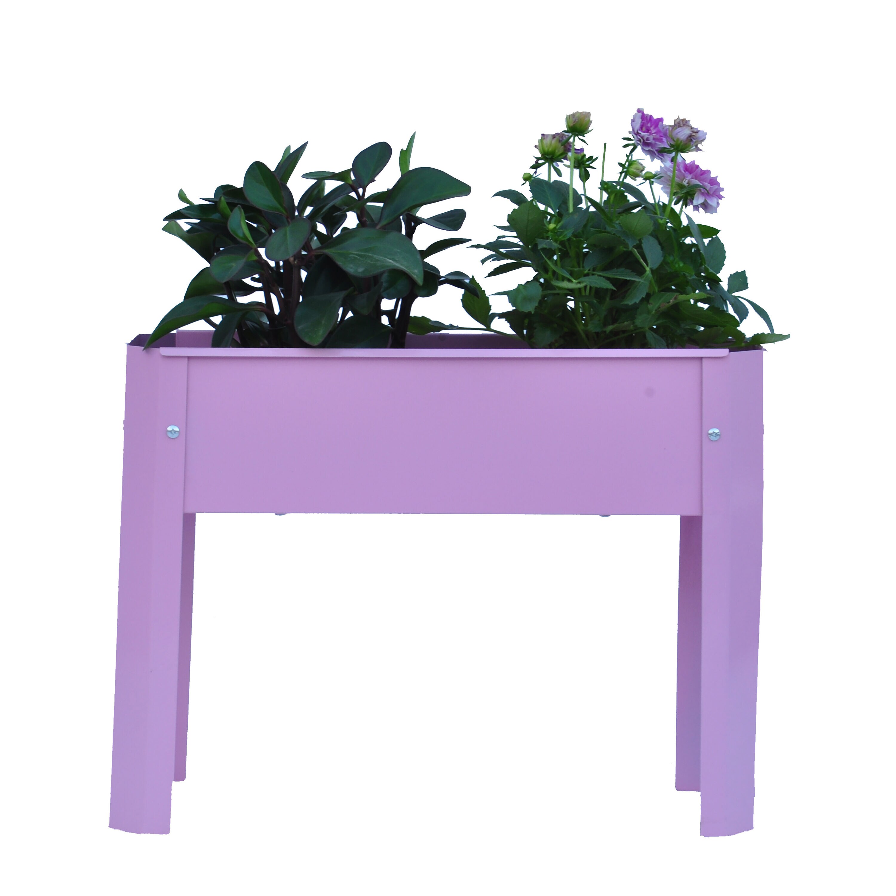 Damerin RBSZYYX-26 Raised-Planter-Boxes - View #10