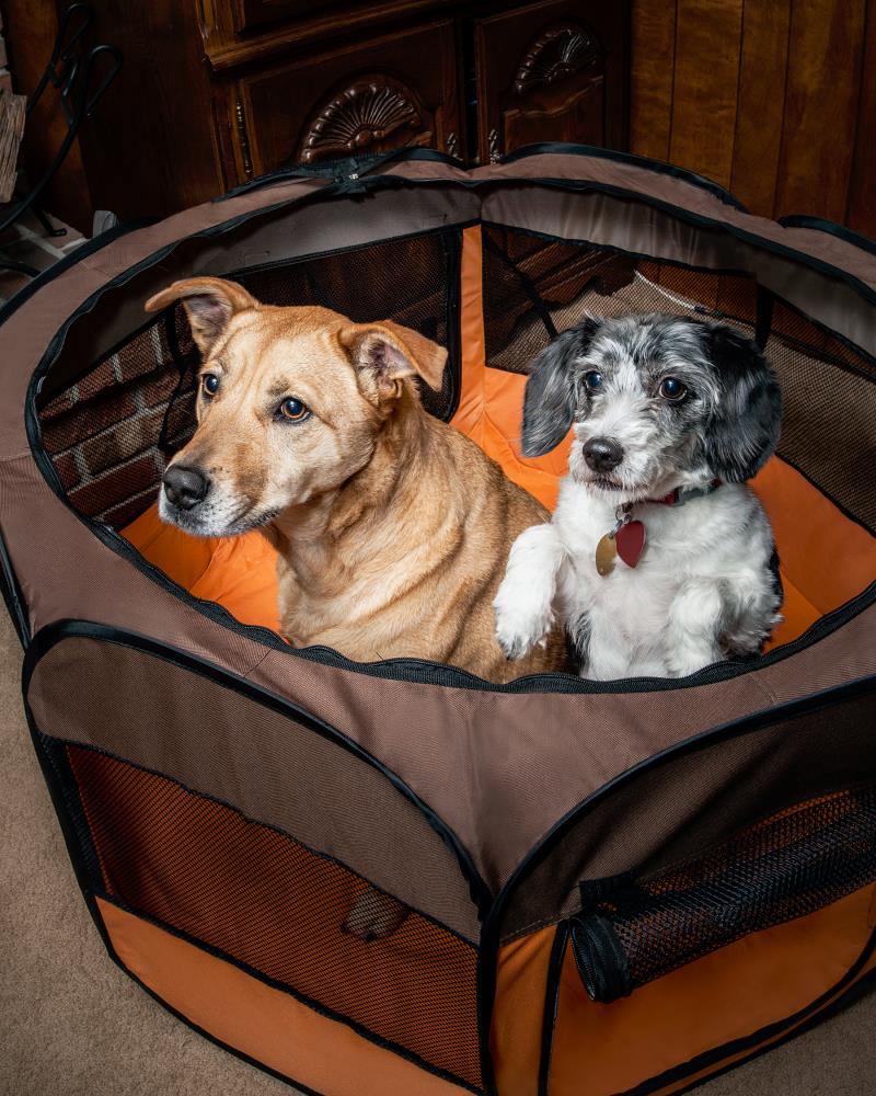 Pet Life 1PPBOMD Dog-Pens - View #6