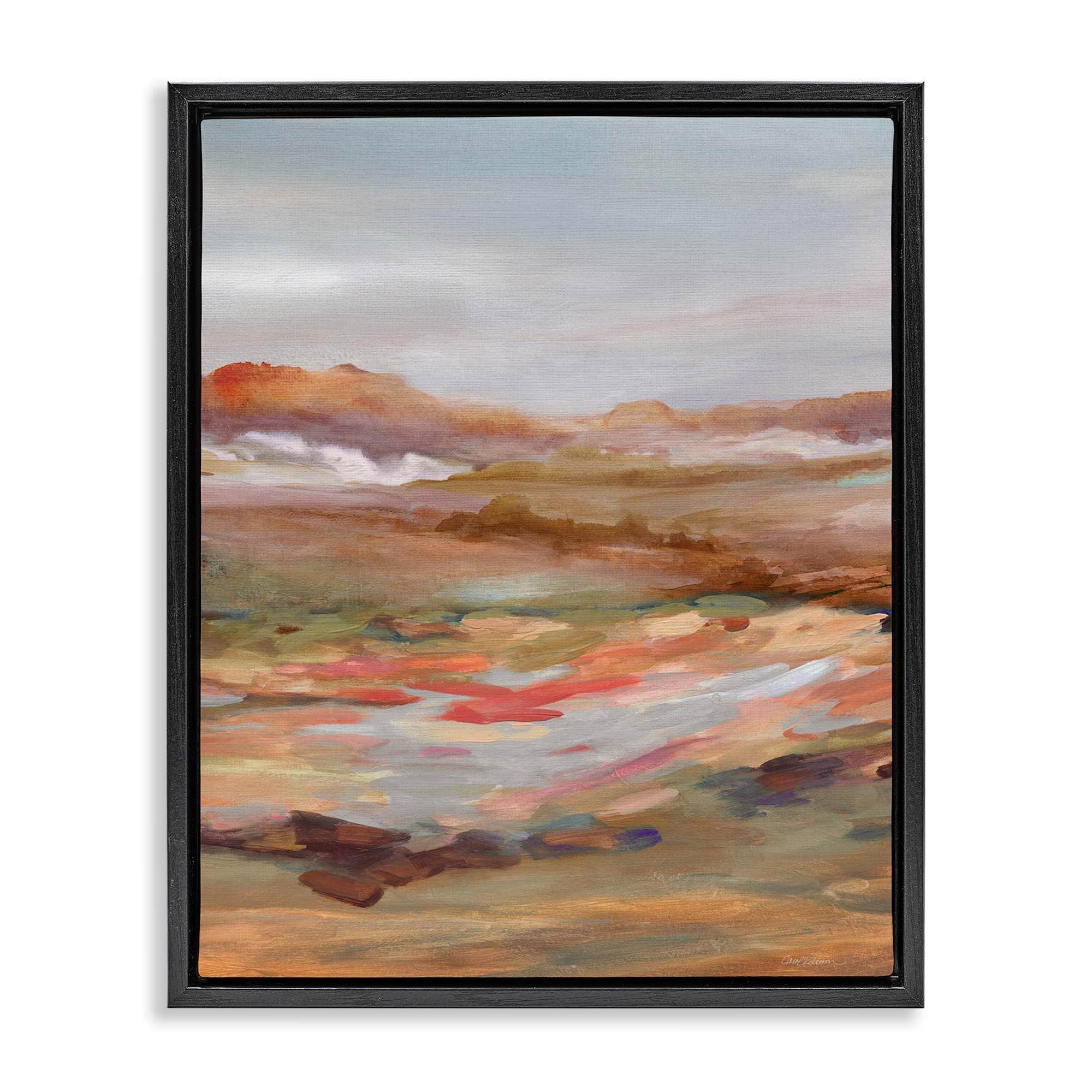 Stupell Industries BS-286-FFB-16X20 Dynamic Abstract Desert Black Framed Floater Canvas Wall Art By Carol Robinson 17 x 21