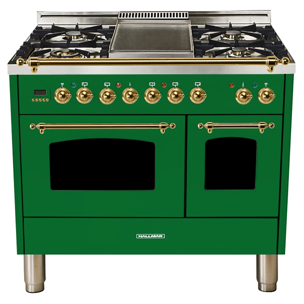 Green Lion Portable Dual Electric Stove For Sale