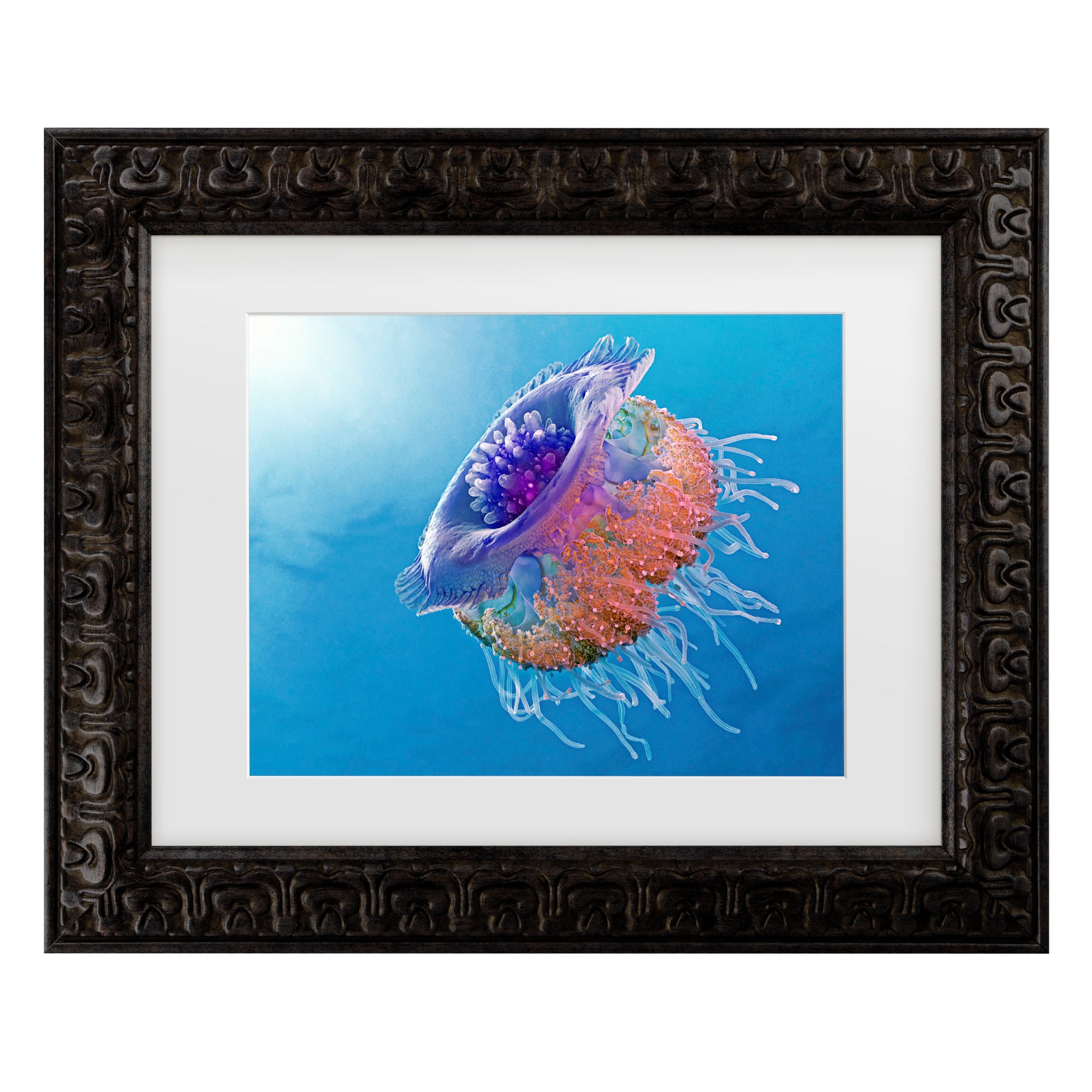 Trademark Fine Art 1X10268-DG1114MF Wall-Art - View #2