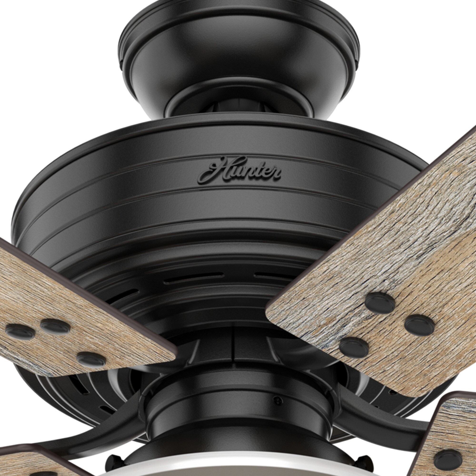 Hunter 55078 Ceiling-Fans - View #15