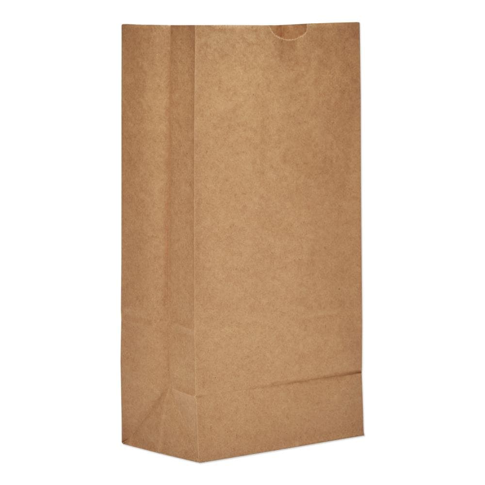  Paper Bags with Handles Bulk. [100 Bags] 10 X 5 X 13