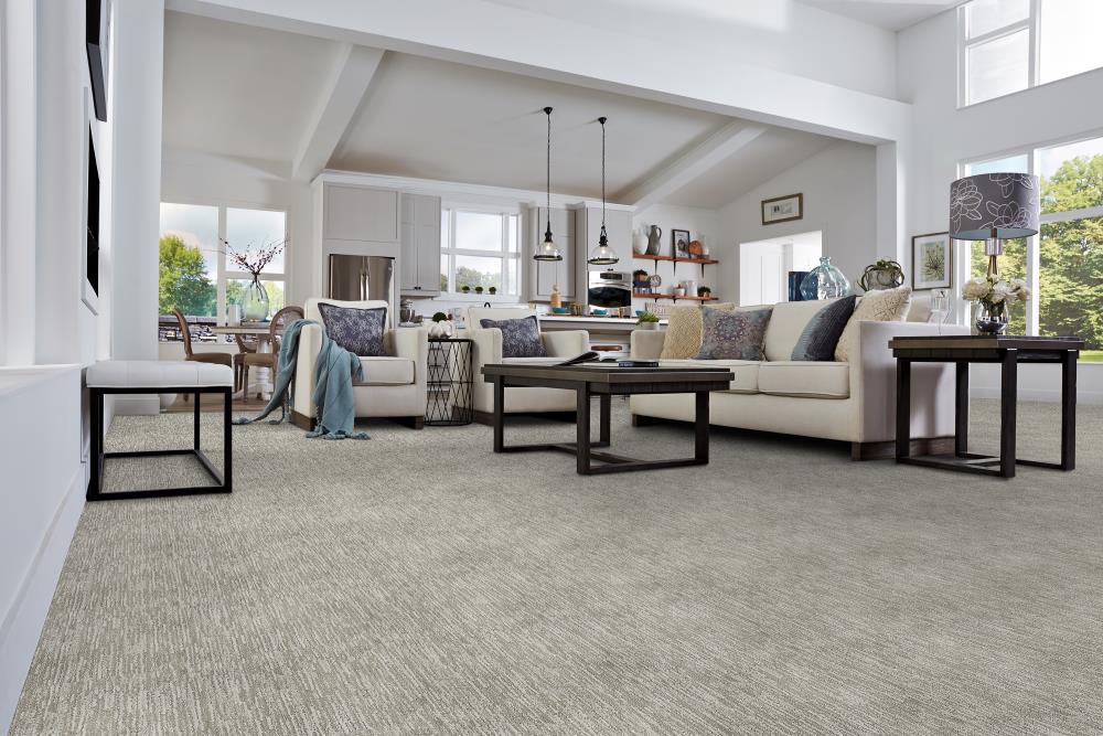 STAINMASTER 8814-207S Carpet-Samples - View #2
