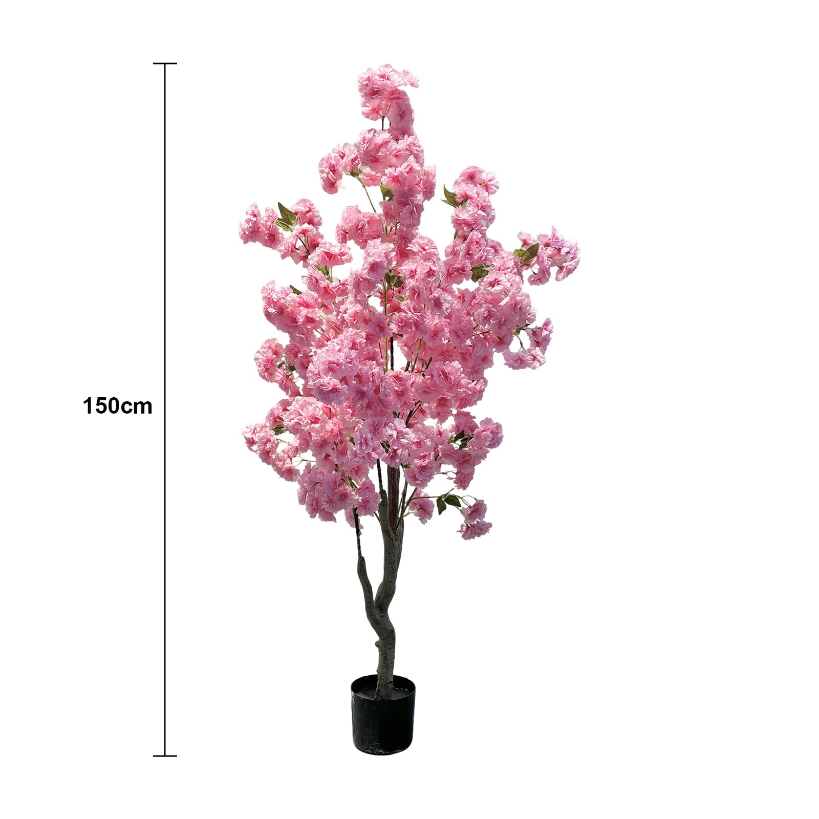 Epson WLS-FQZOL-4443CM3Y Artificial-Plants-Trees - View #3