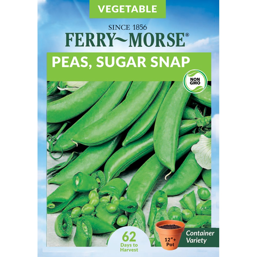 Ferry-Morse 914891.219.642022 Pea Snap Sugar Vegetable Seeds 10 Gram(s)