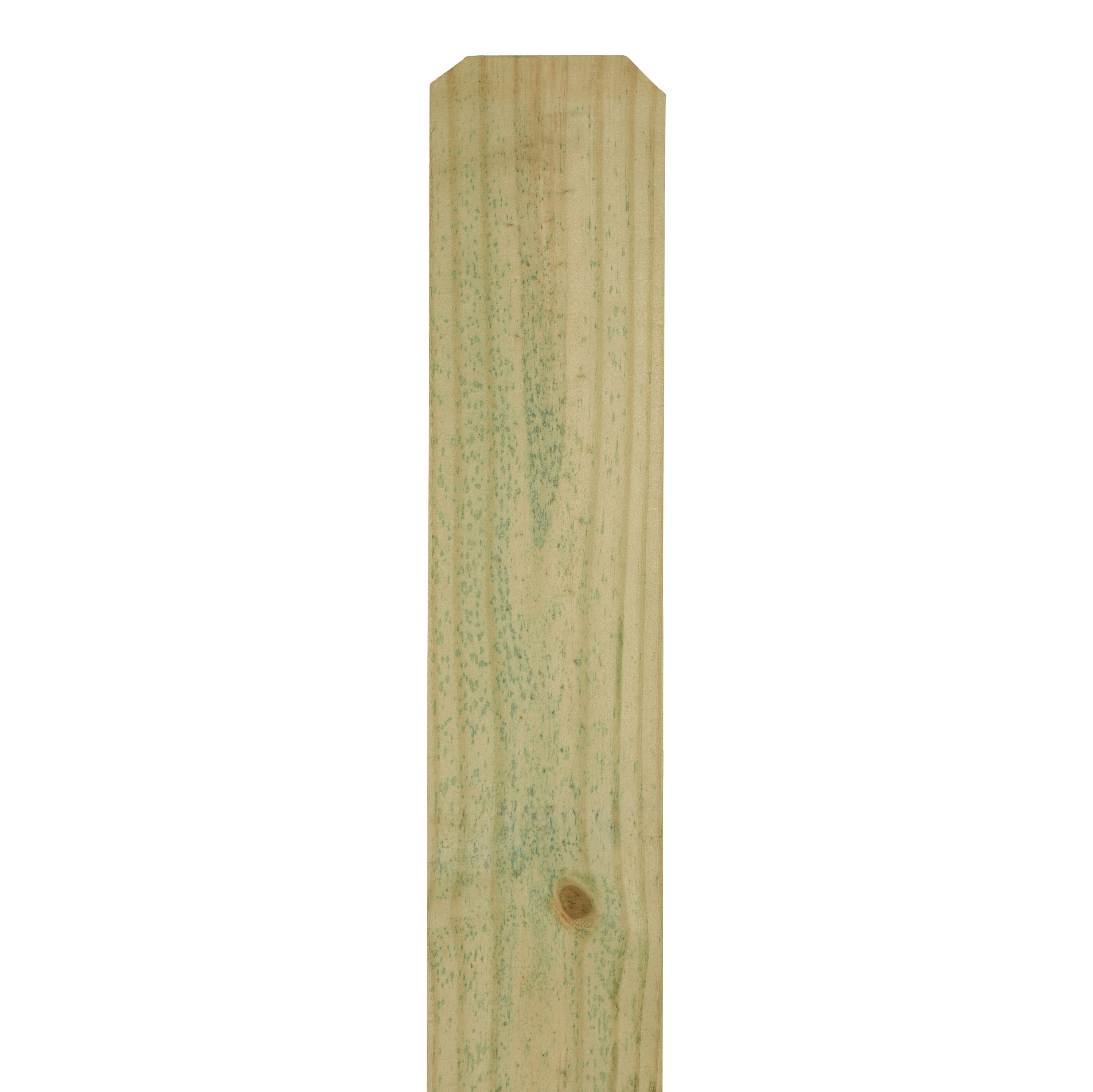 ProWood 344288 5/8-in x 6-in x 6-ft Pressure Treated Pine Dog ear Fence Picket