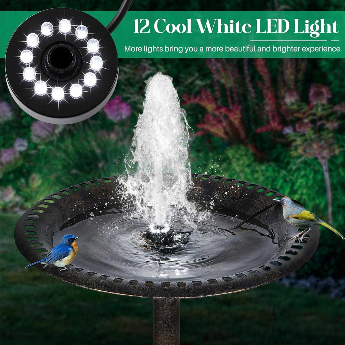 Aoibox LABAP2913 pumps - View #2