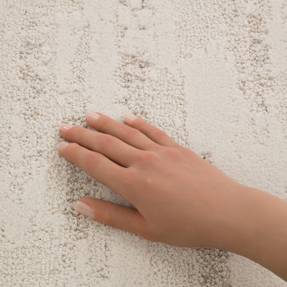 STAINMASTER PetProtect 7L976-109-SAMP Carpet-Samples - View #4