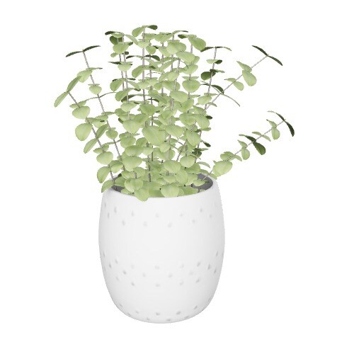 Three-dimensional representation of the product