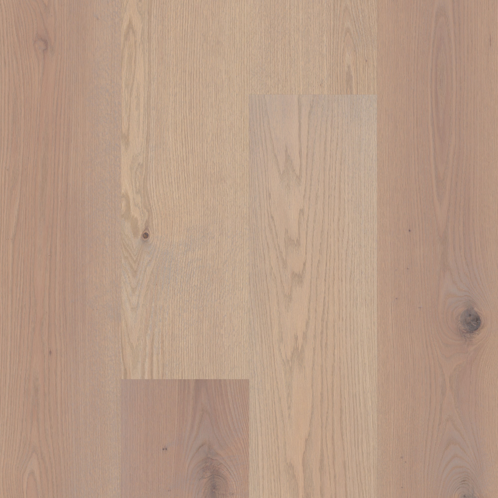 Shaw LX77801122 Ellendale Oak Prairie Winds Oak 9-1/4-in W x 1/2-in T x Varying Length Wirebrushed Water Resistant Engineered Hardwood Flooring ( 31.16-sq ft / Carton )