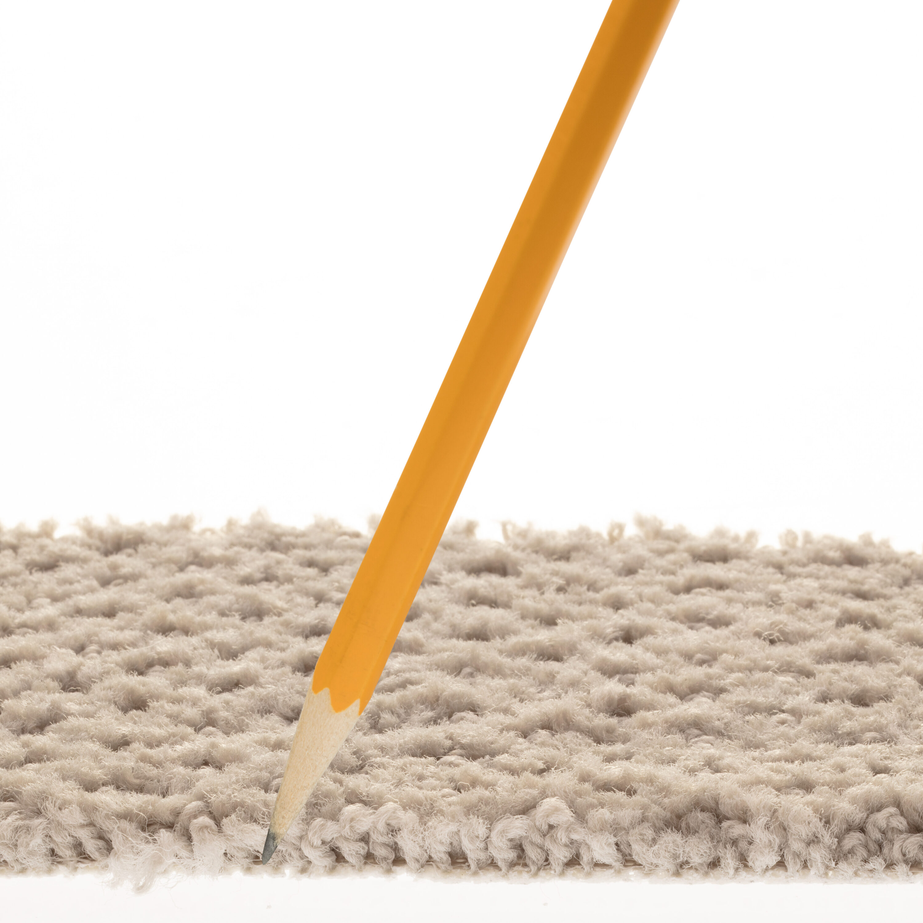 STAINMASTER 7L905 - 570 - SAMP Carpet-Samples - View #7