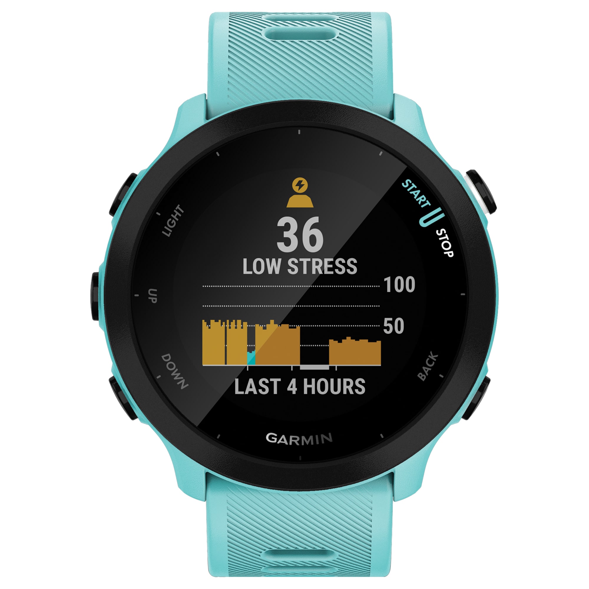 Garmin Forerunner 55 With GPS, 5 ATM Water Resistance, Activity